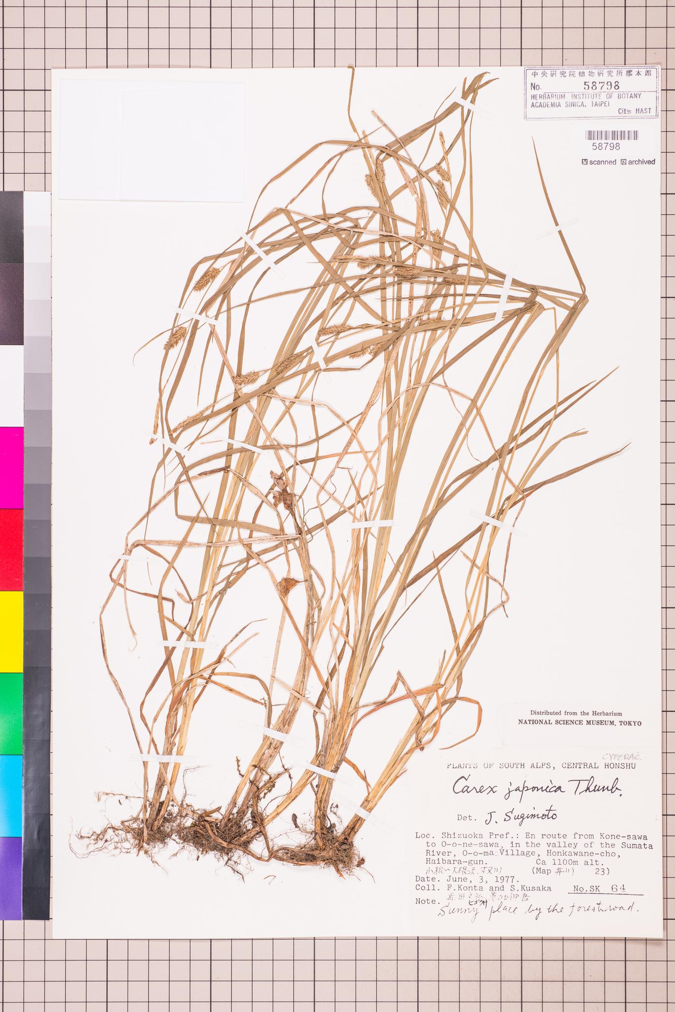 Sample image for viewer