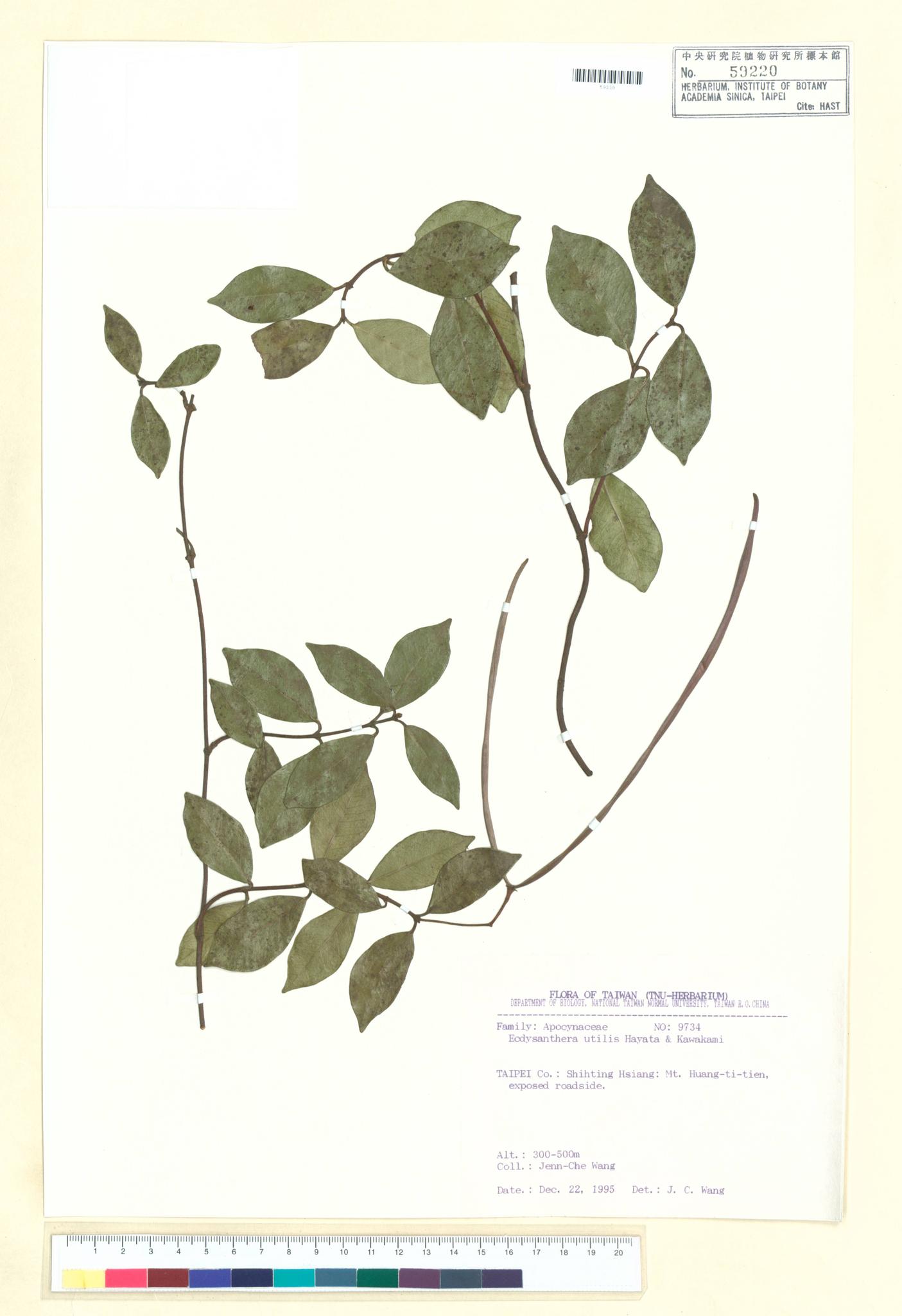 Sample image for viewer