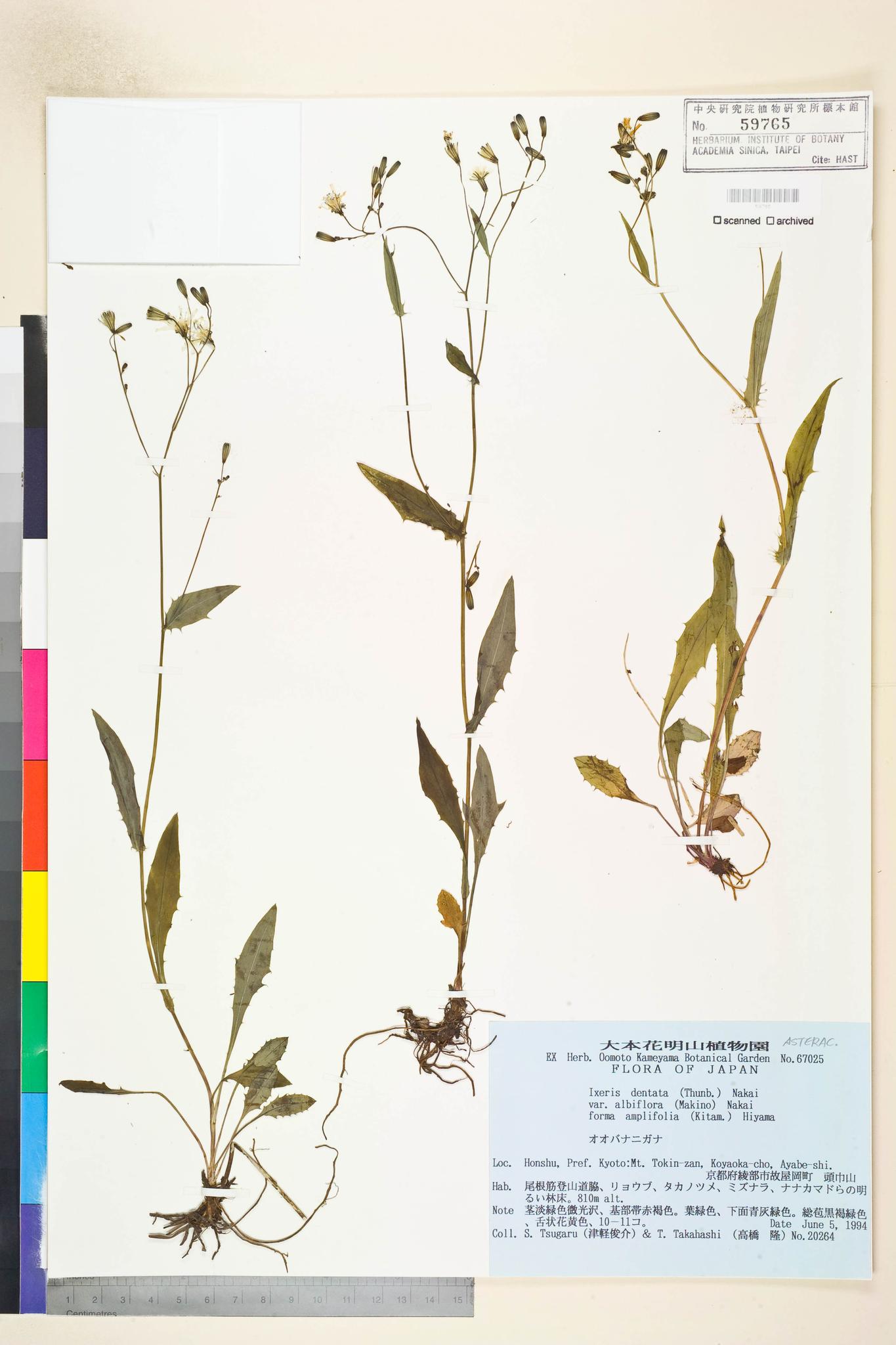 Specimen image