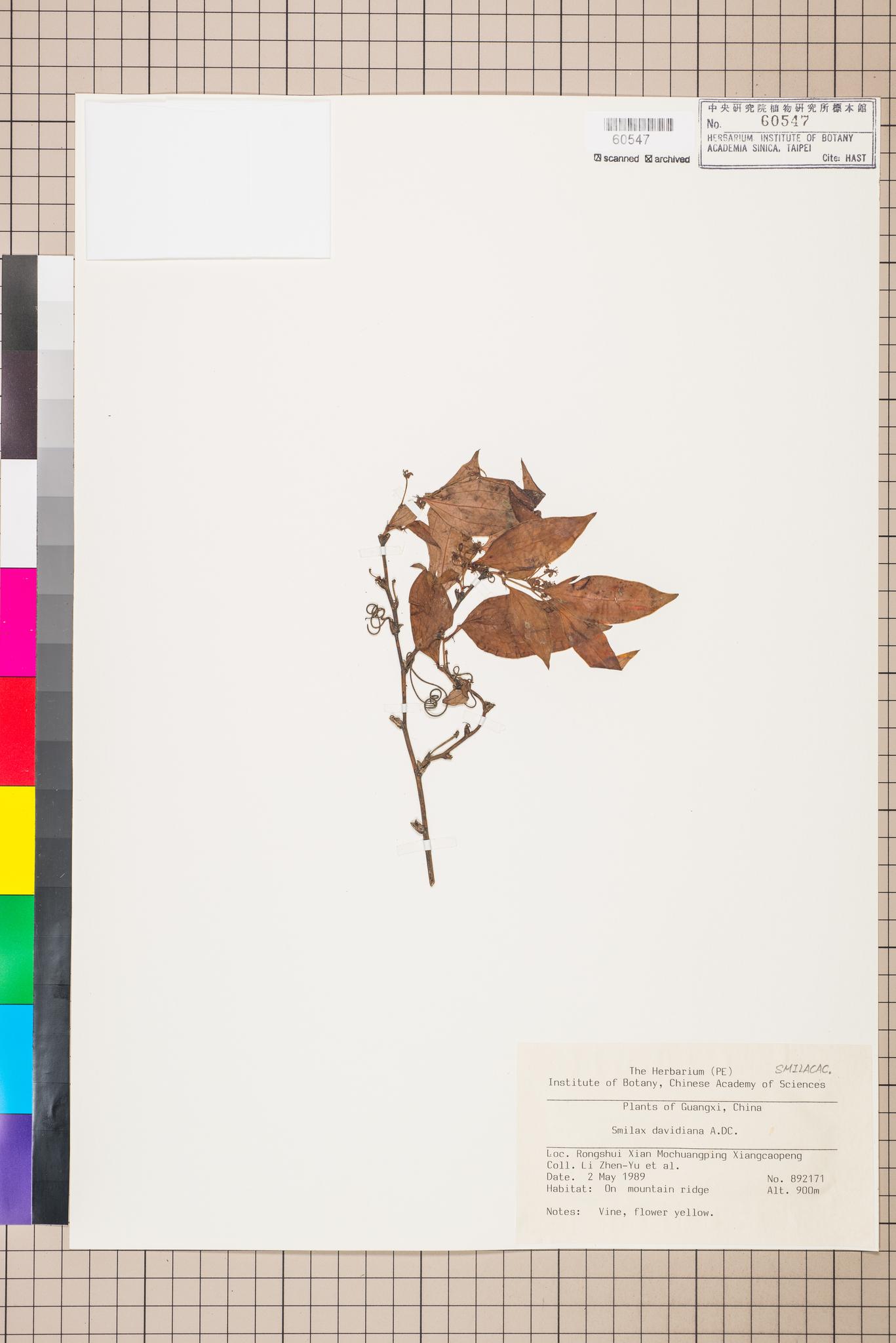 Sample image for viewer