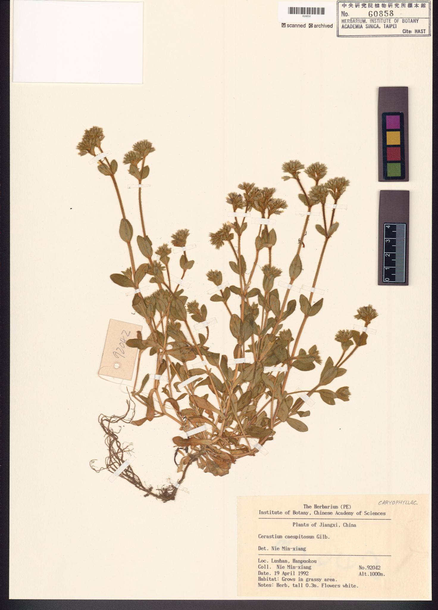 Sample image for viewer