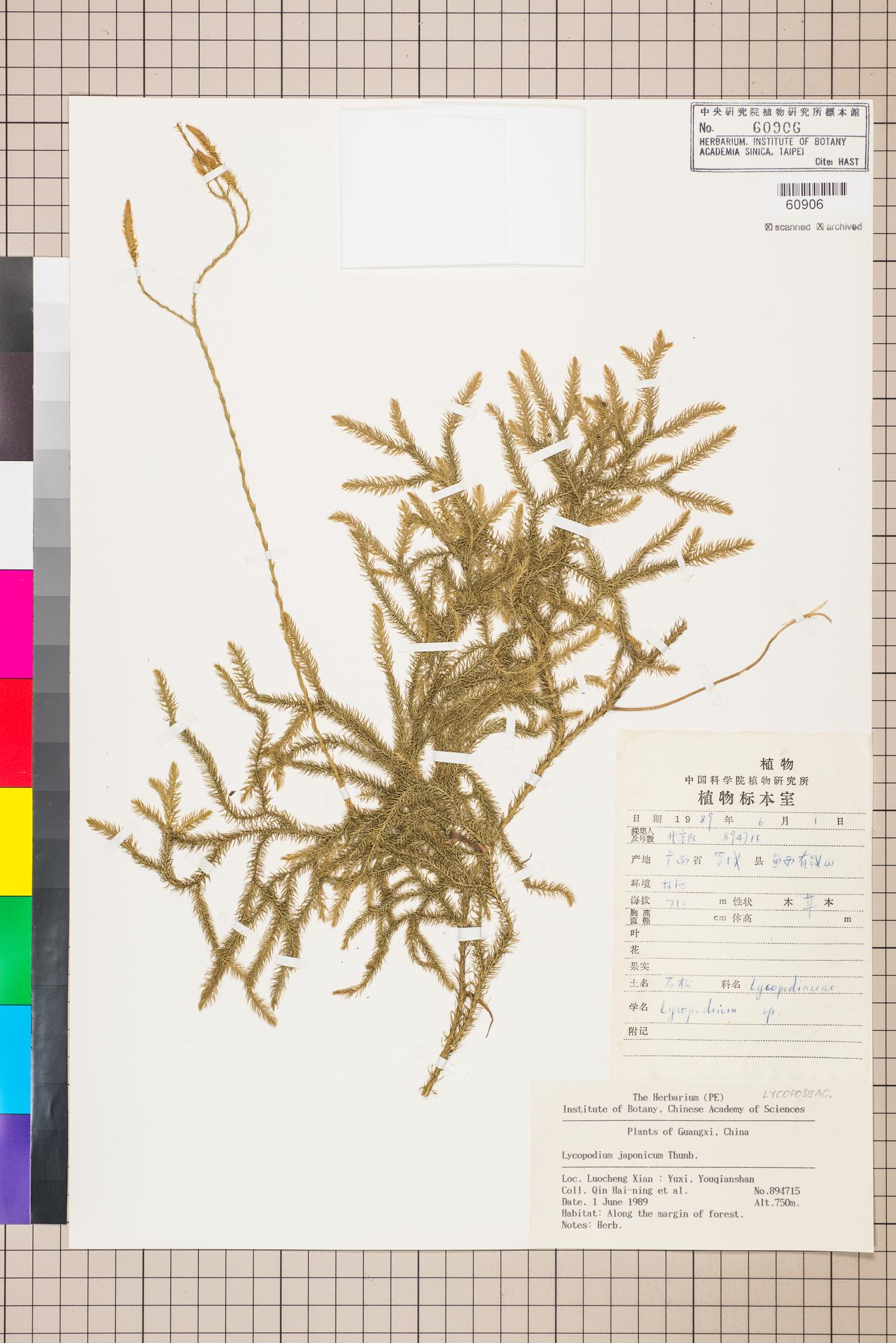 Specimen image