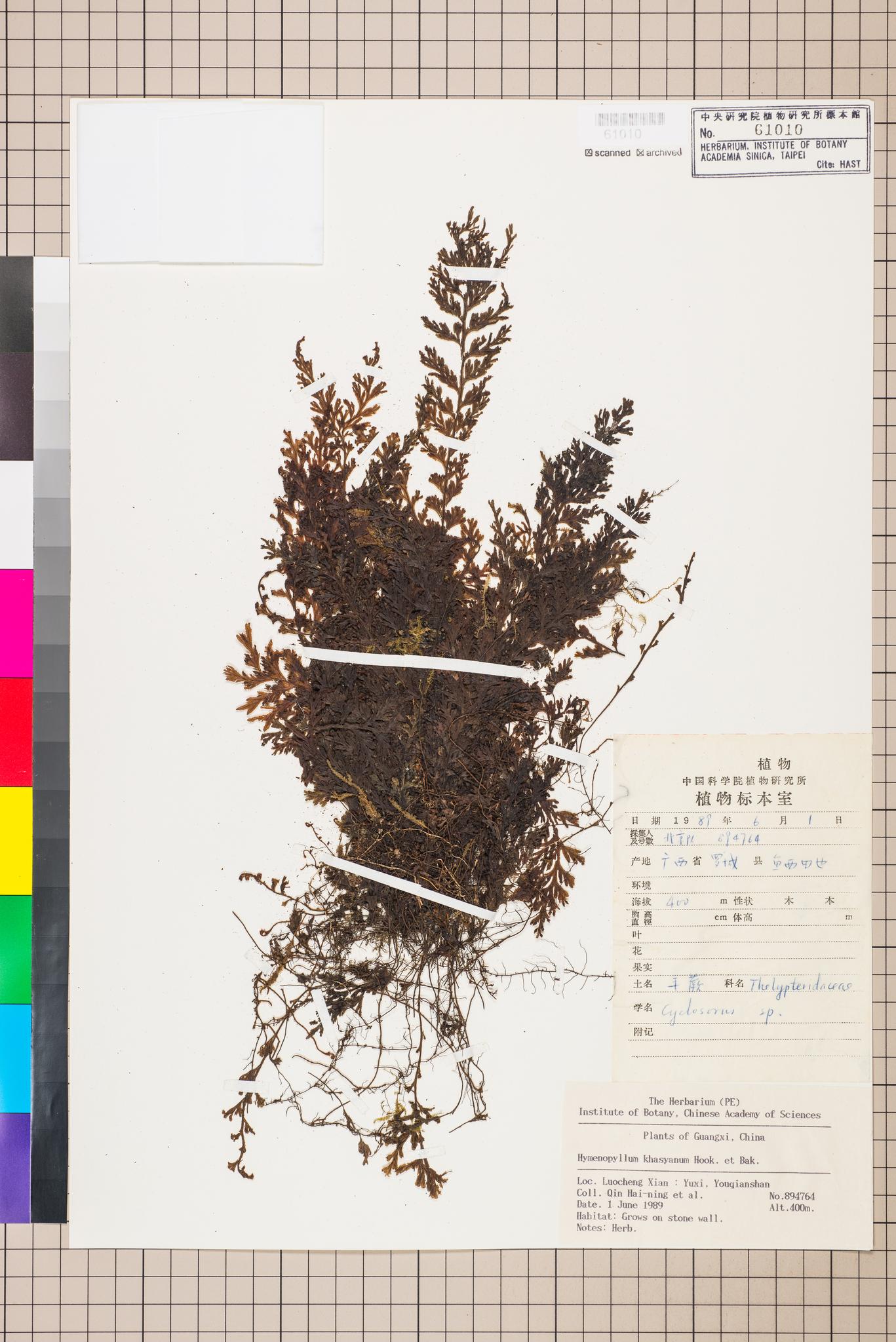 Sample image for viewer