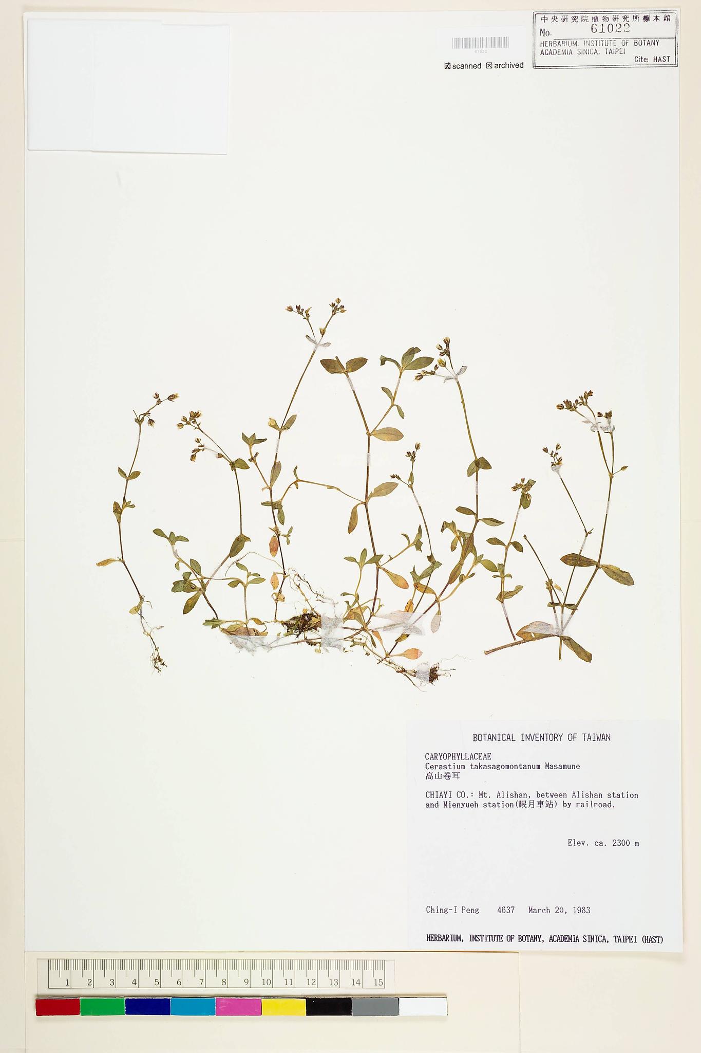 Sample image for viewer