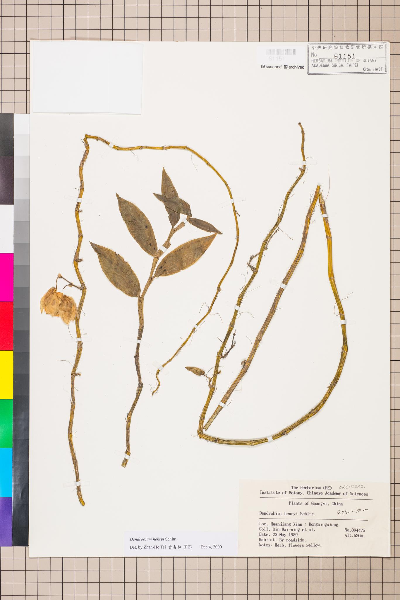 Sample image for viewer