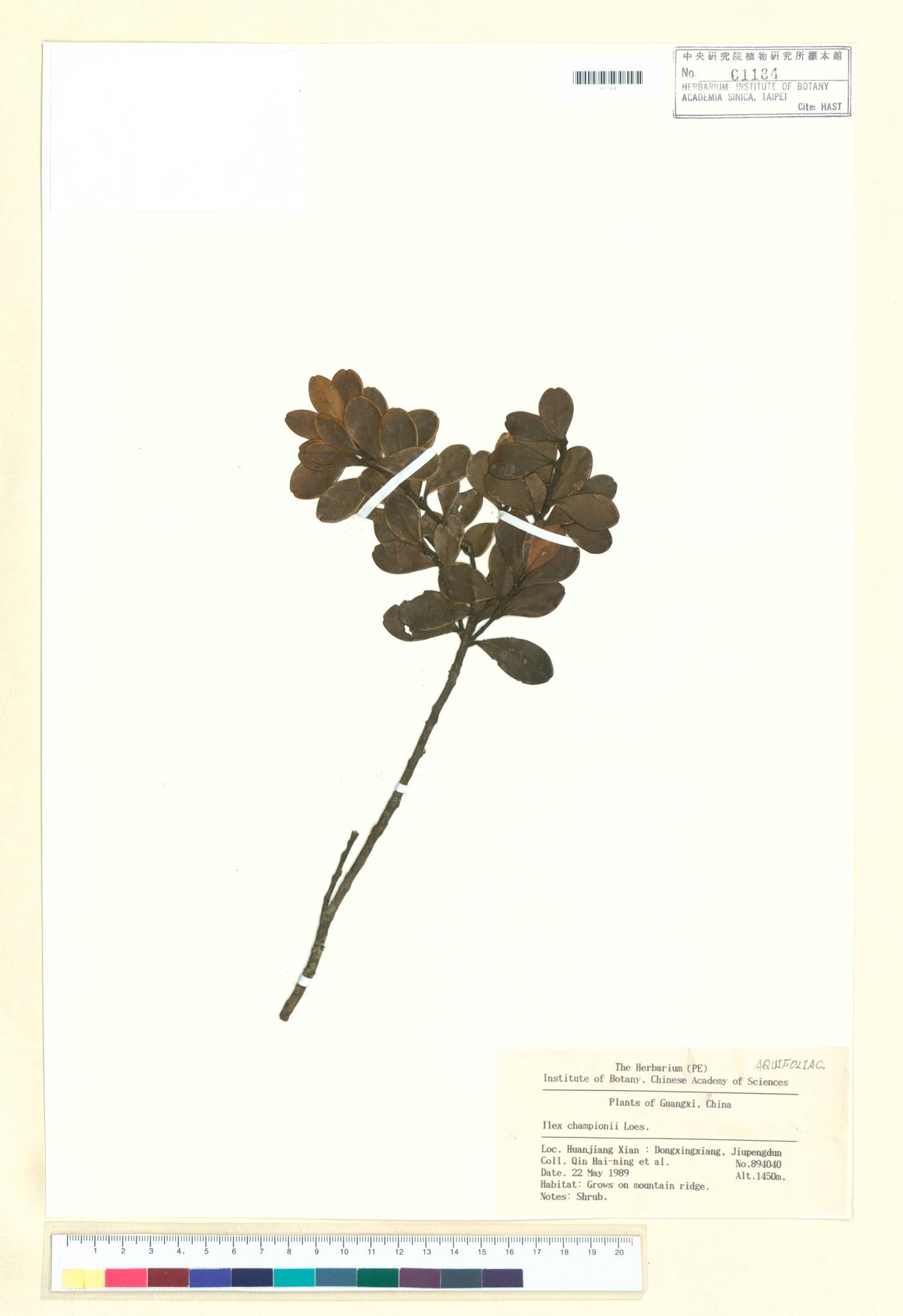 Sample image for viewer