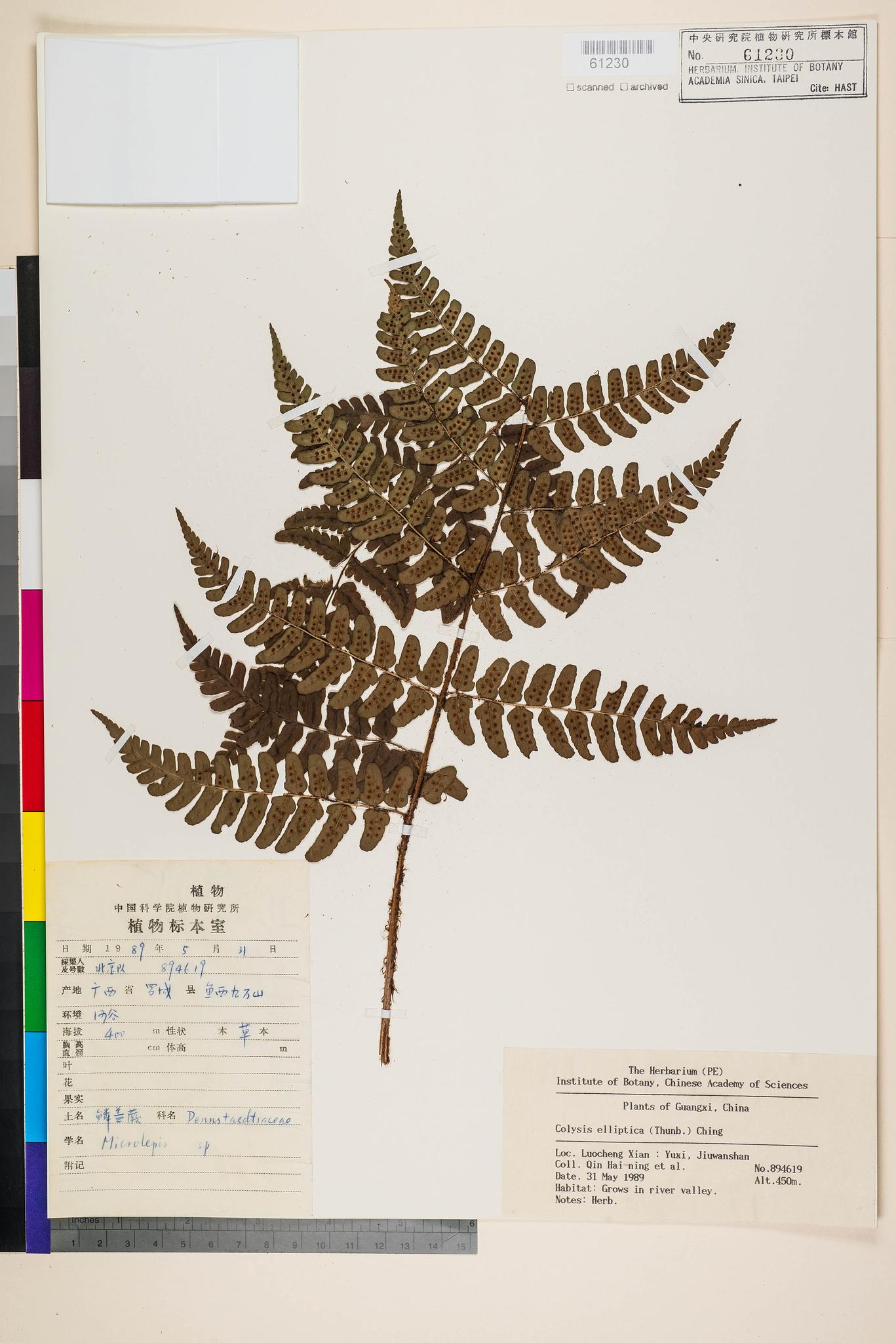 Sample image for viewer