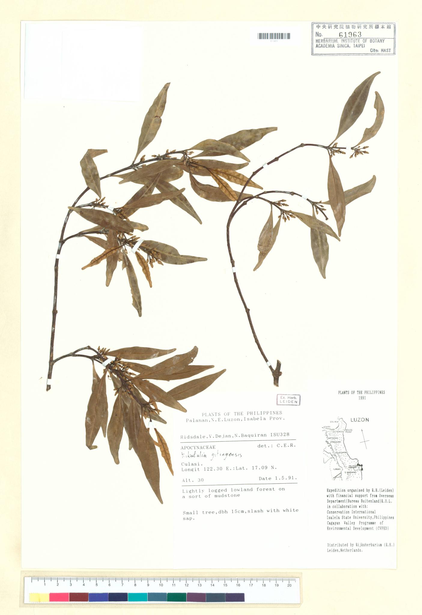 Sample image for viewer