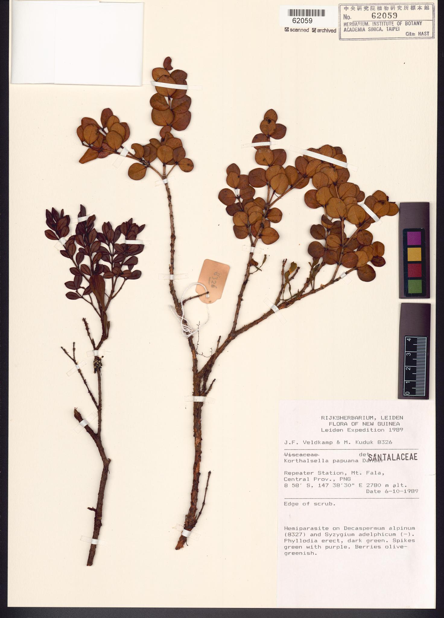Specimen image