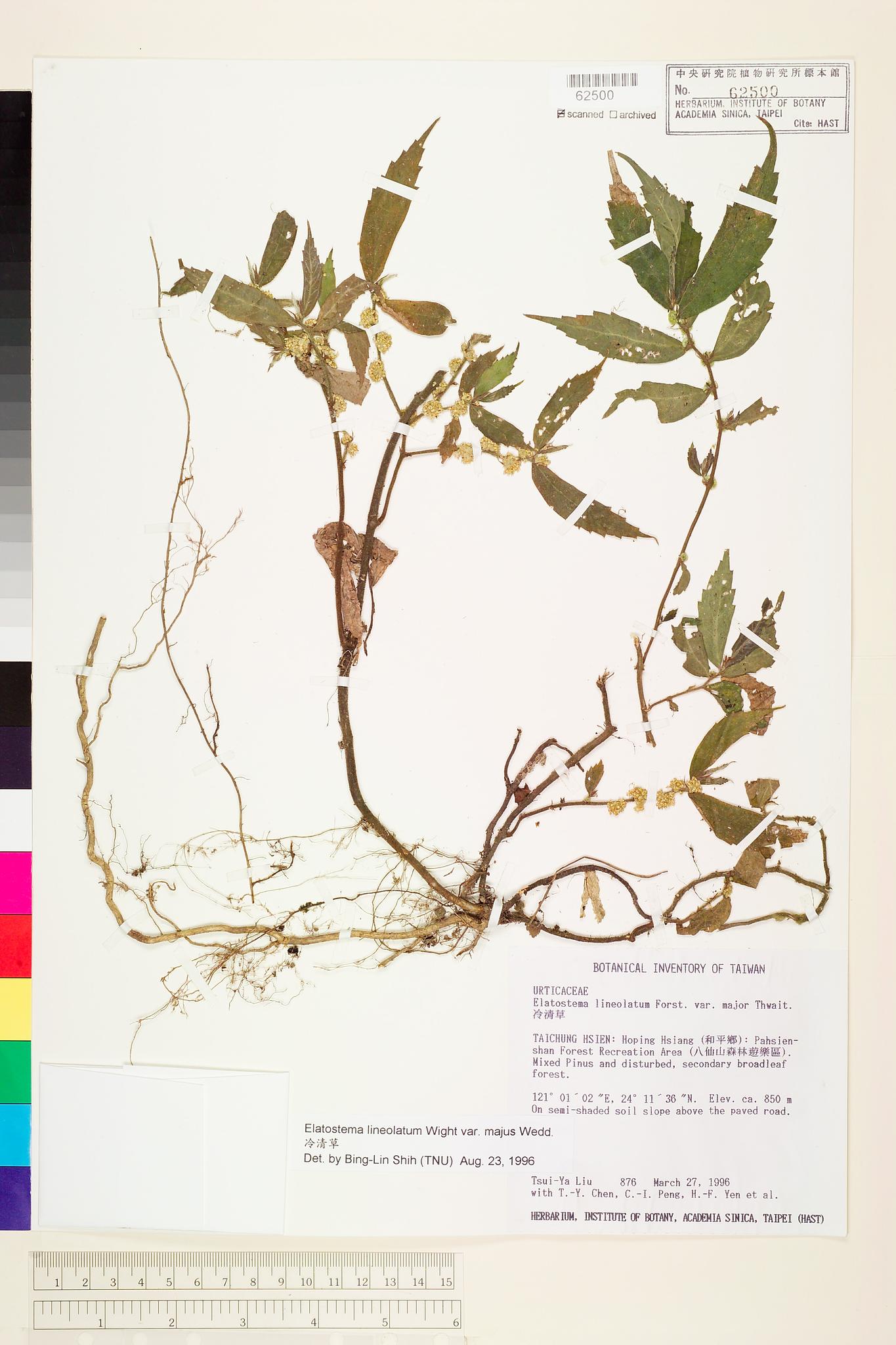 Sample image for viewer