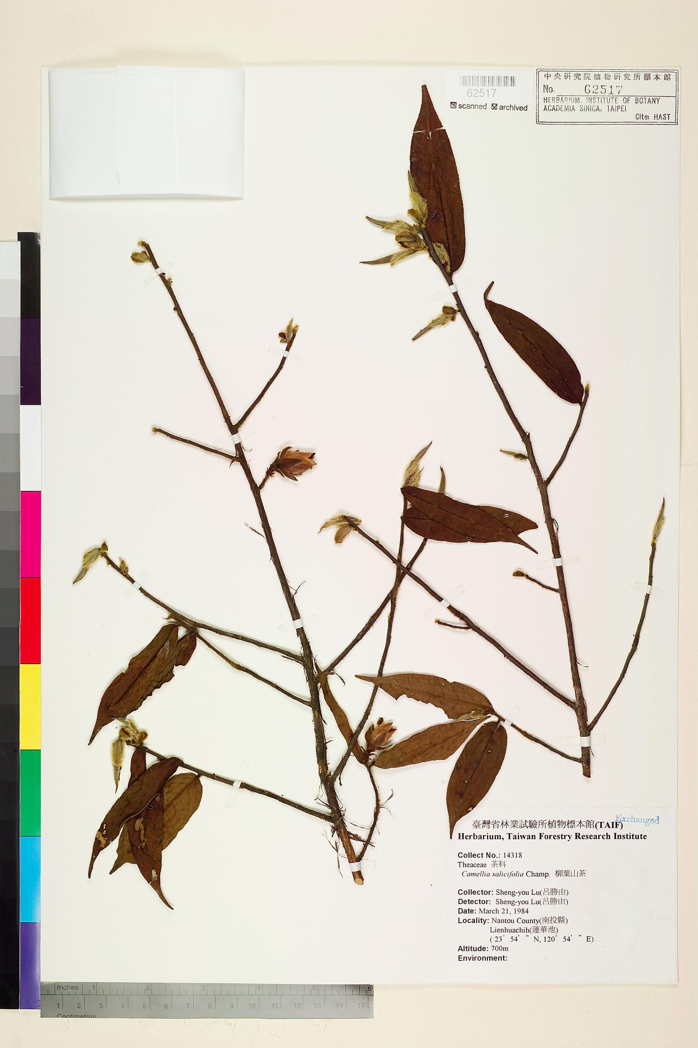 Sample image for viewer