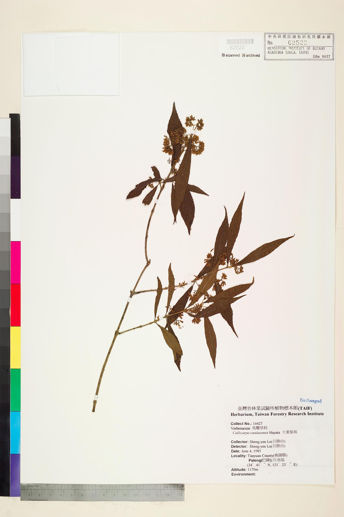 Sample image for viewer