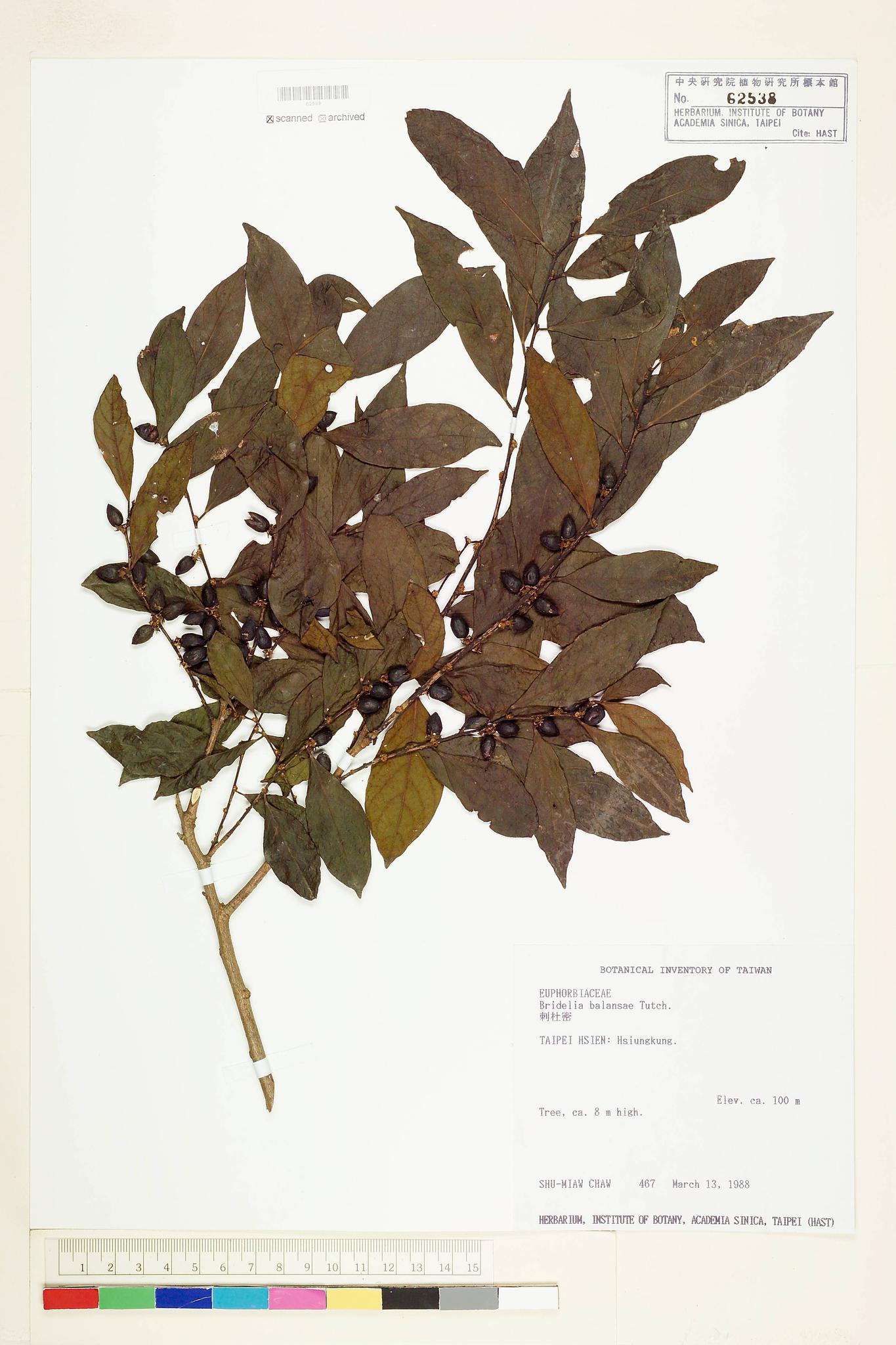 Sample image for viewer