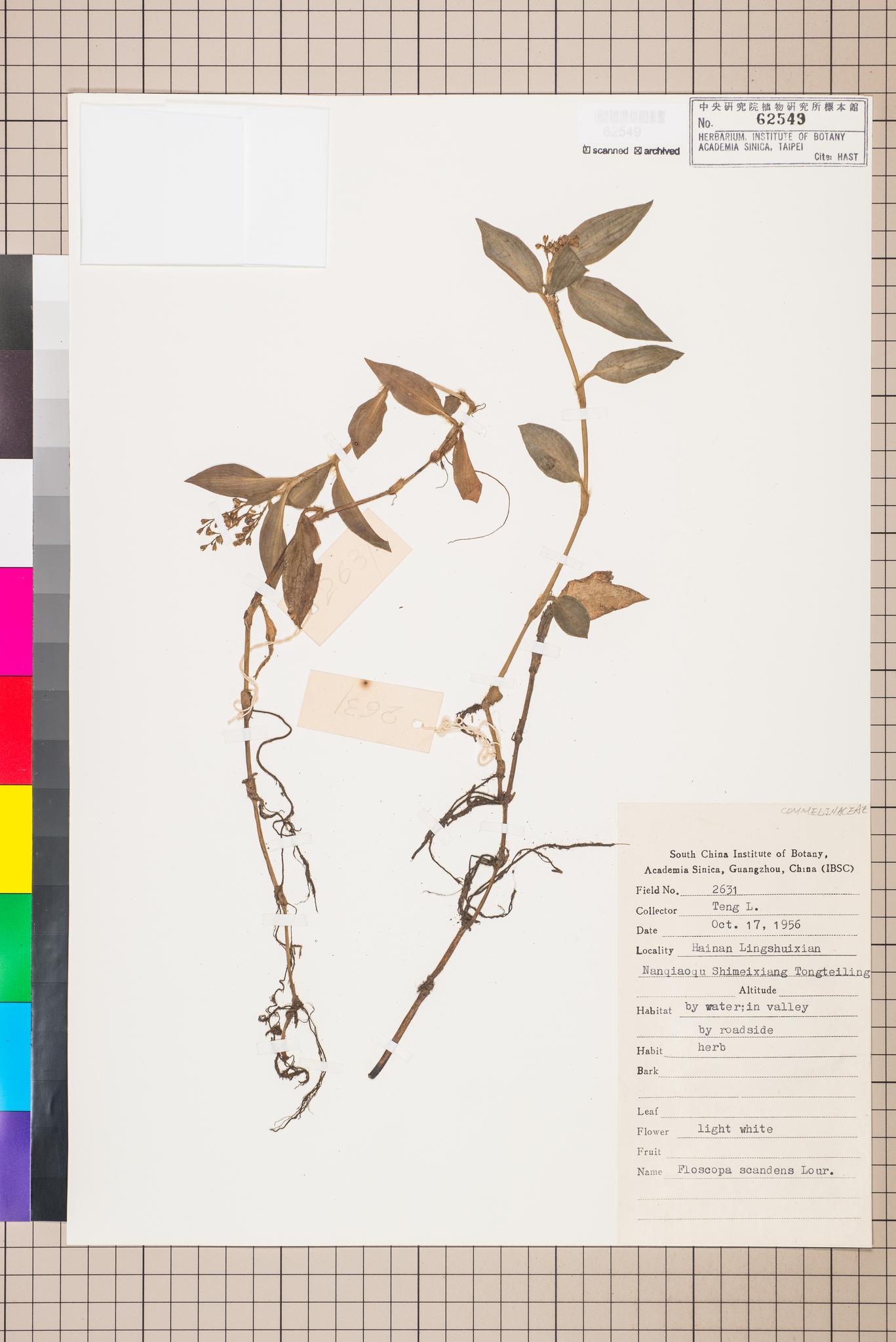 Sample image for viewer