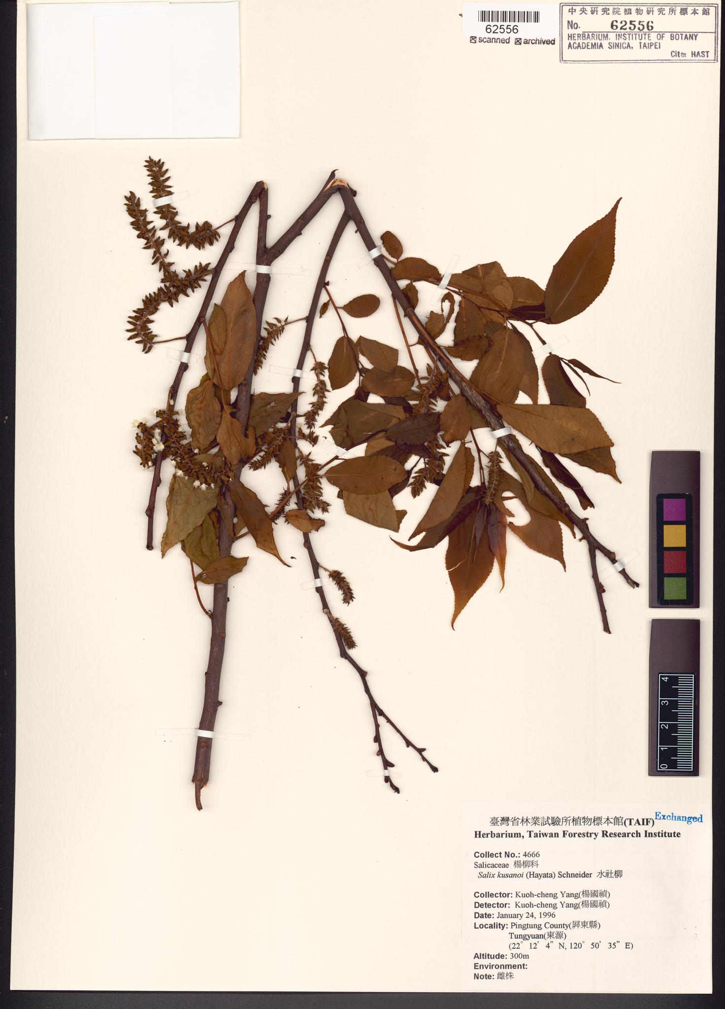 Sample image for viewer