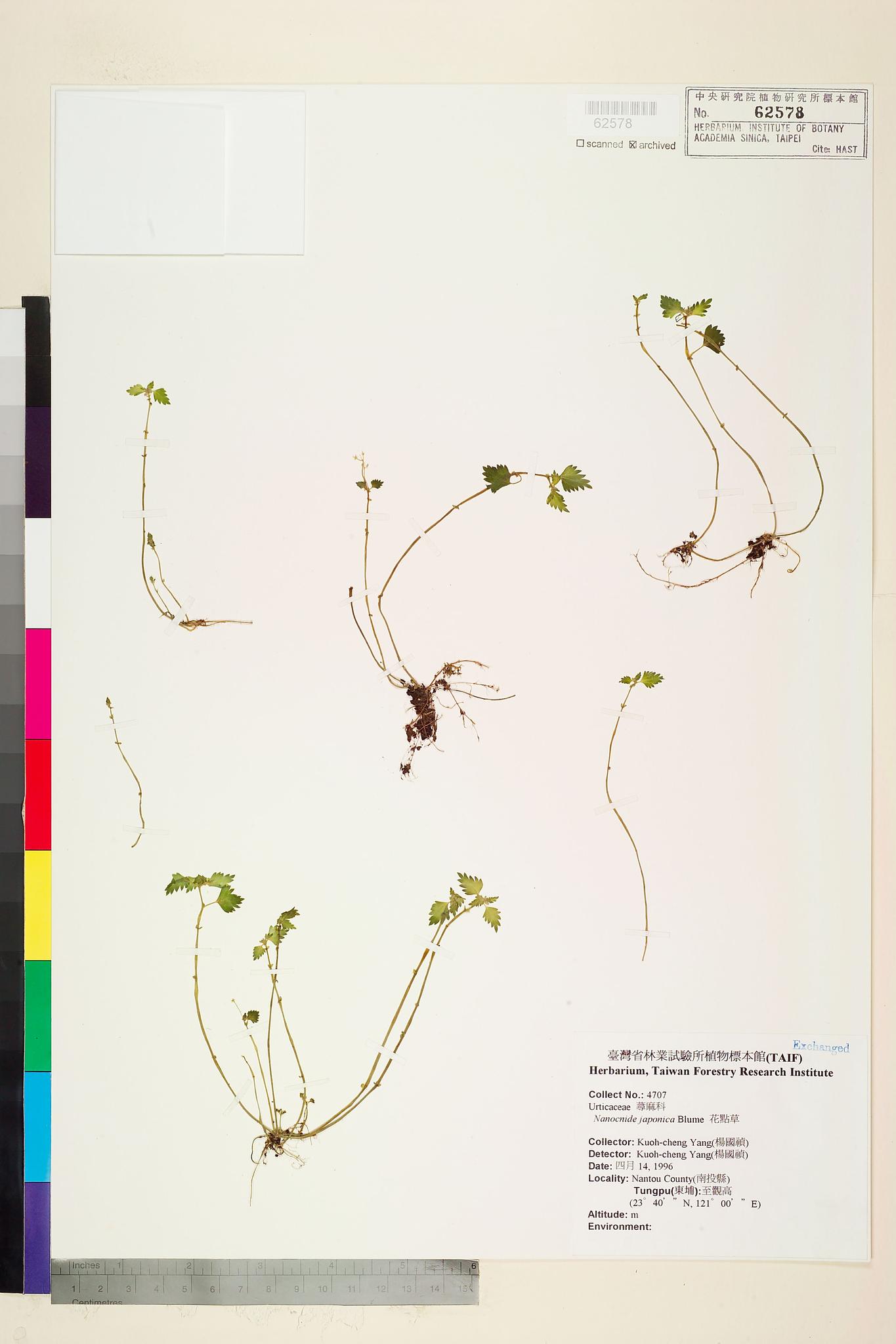 Sample image for viewer