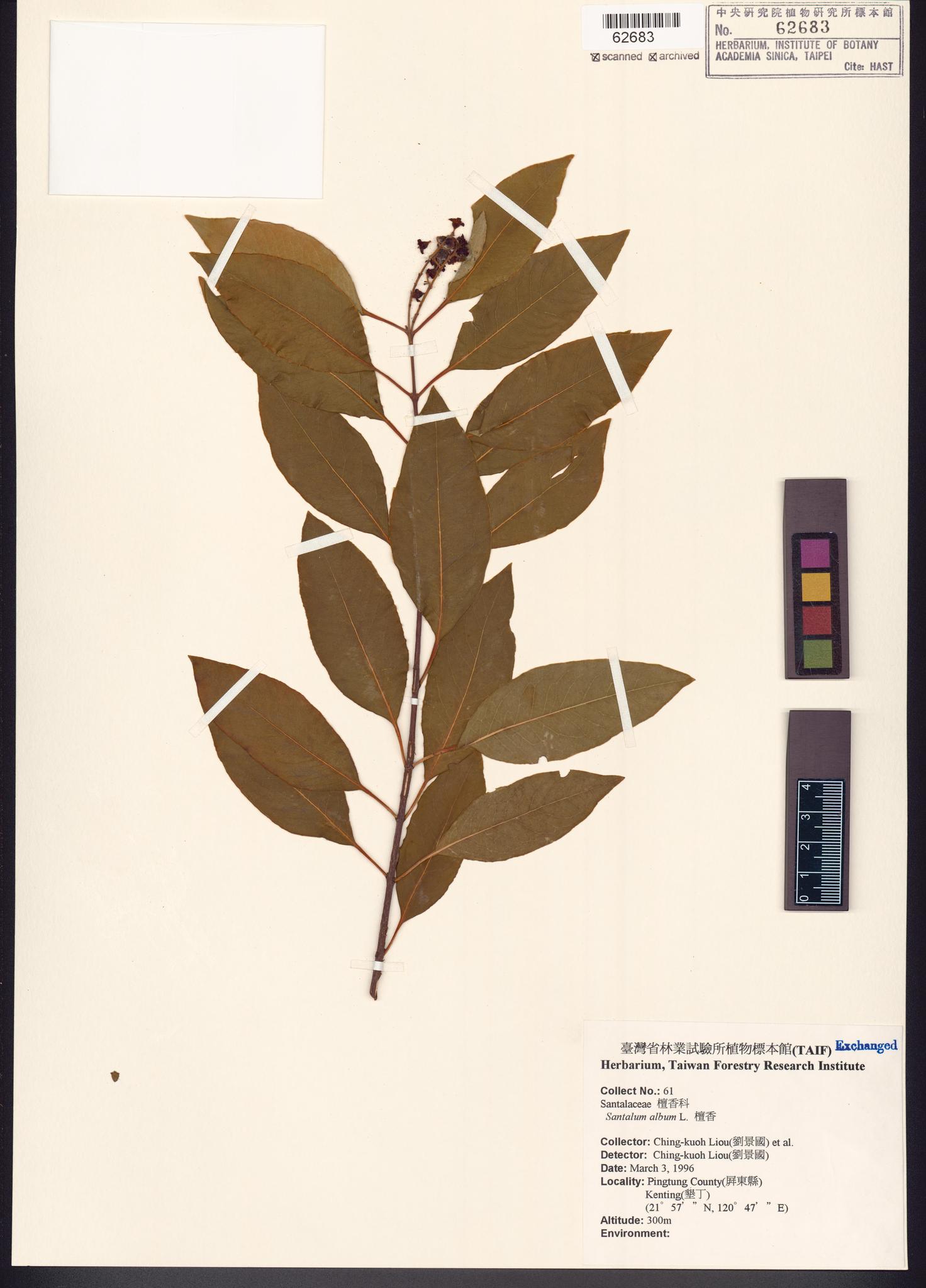 Sample image for viewer