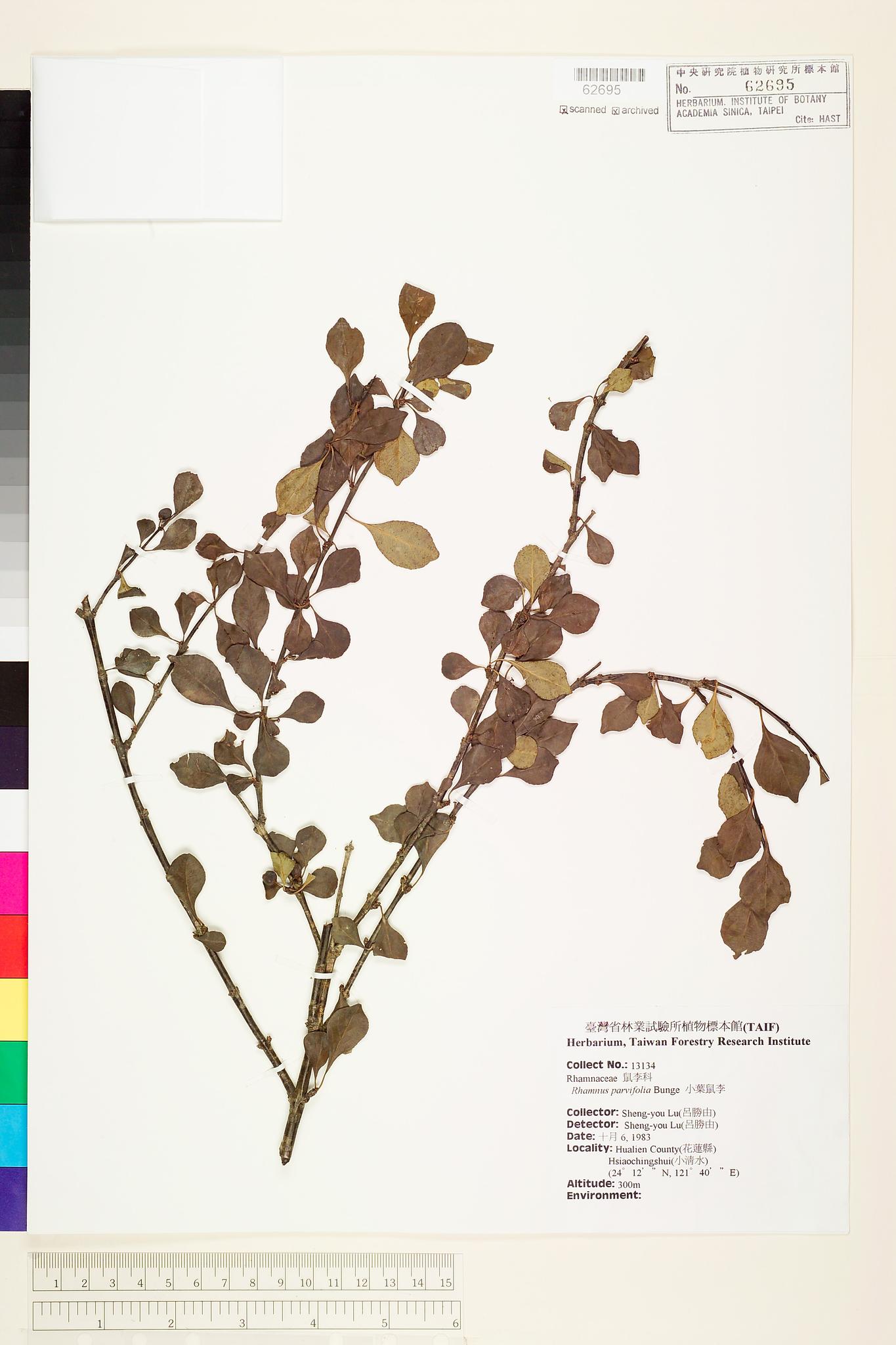 Sample image for viewer