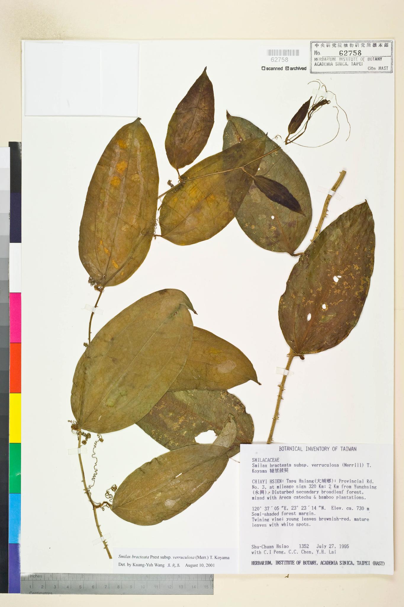 Sample image for viewer