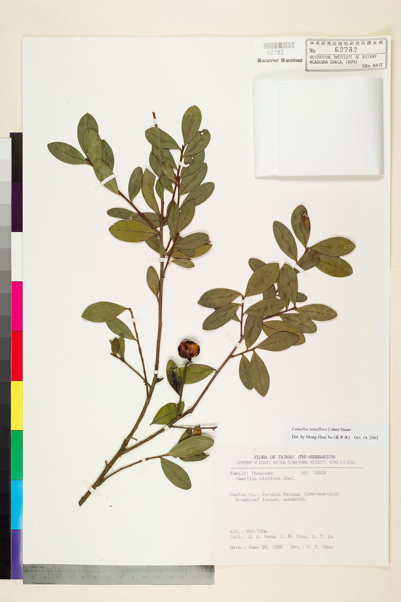 Sample image for viewer