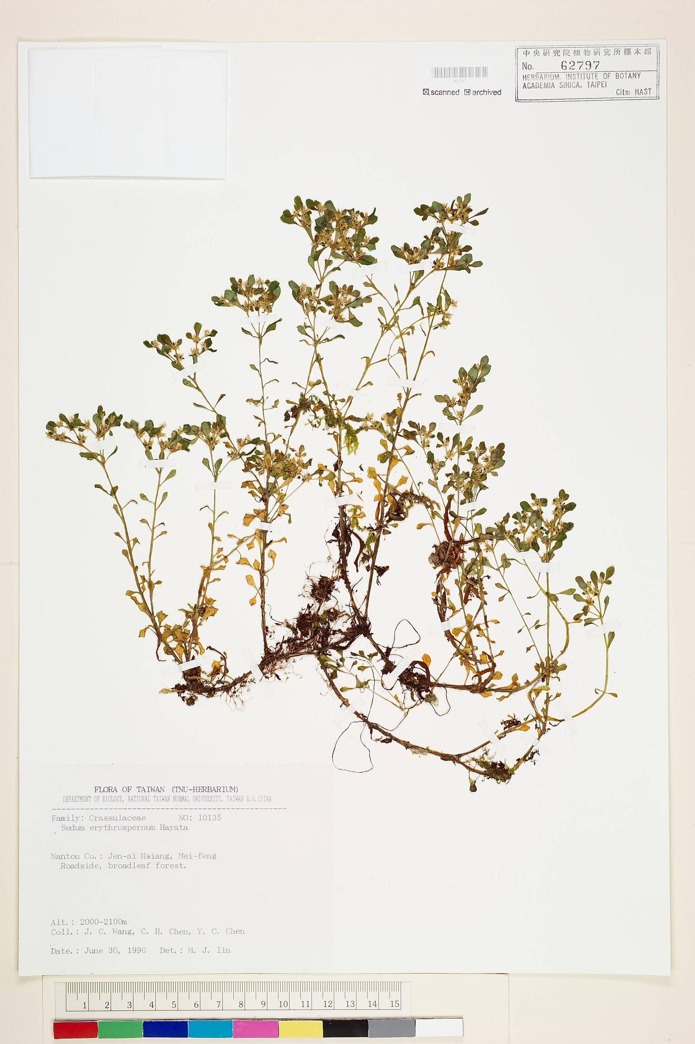 Sample image for viewer