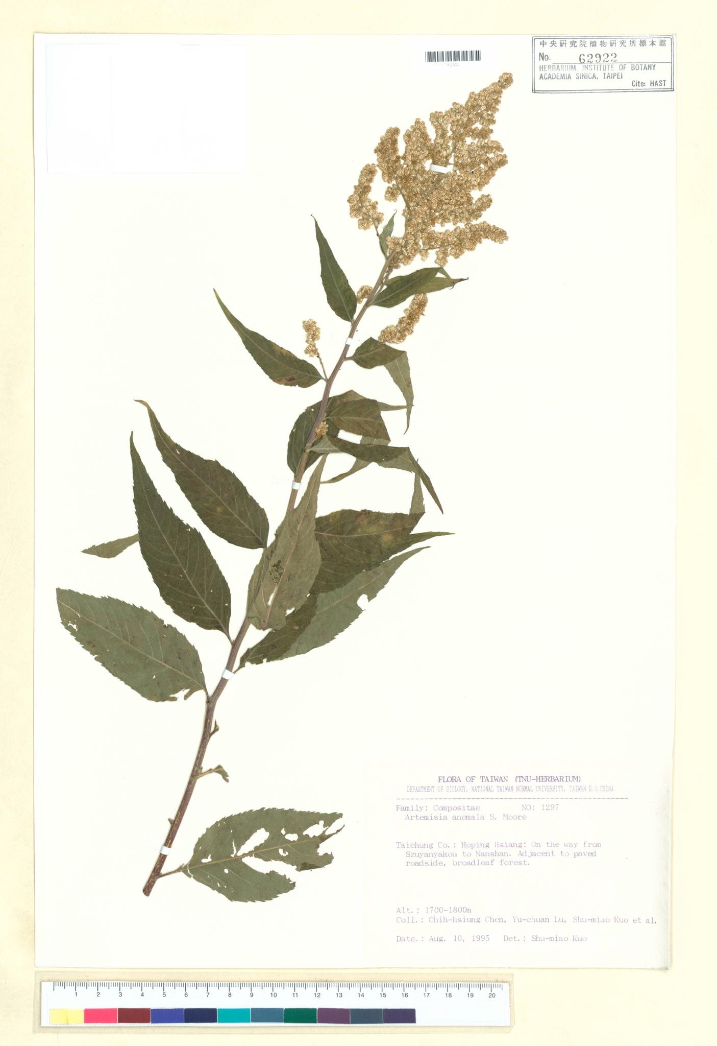 Sample image for viewer