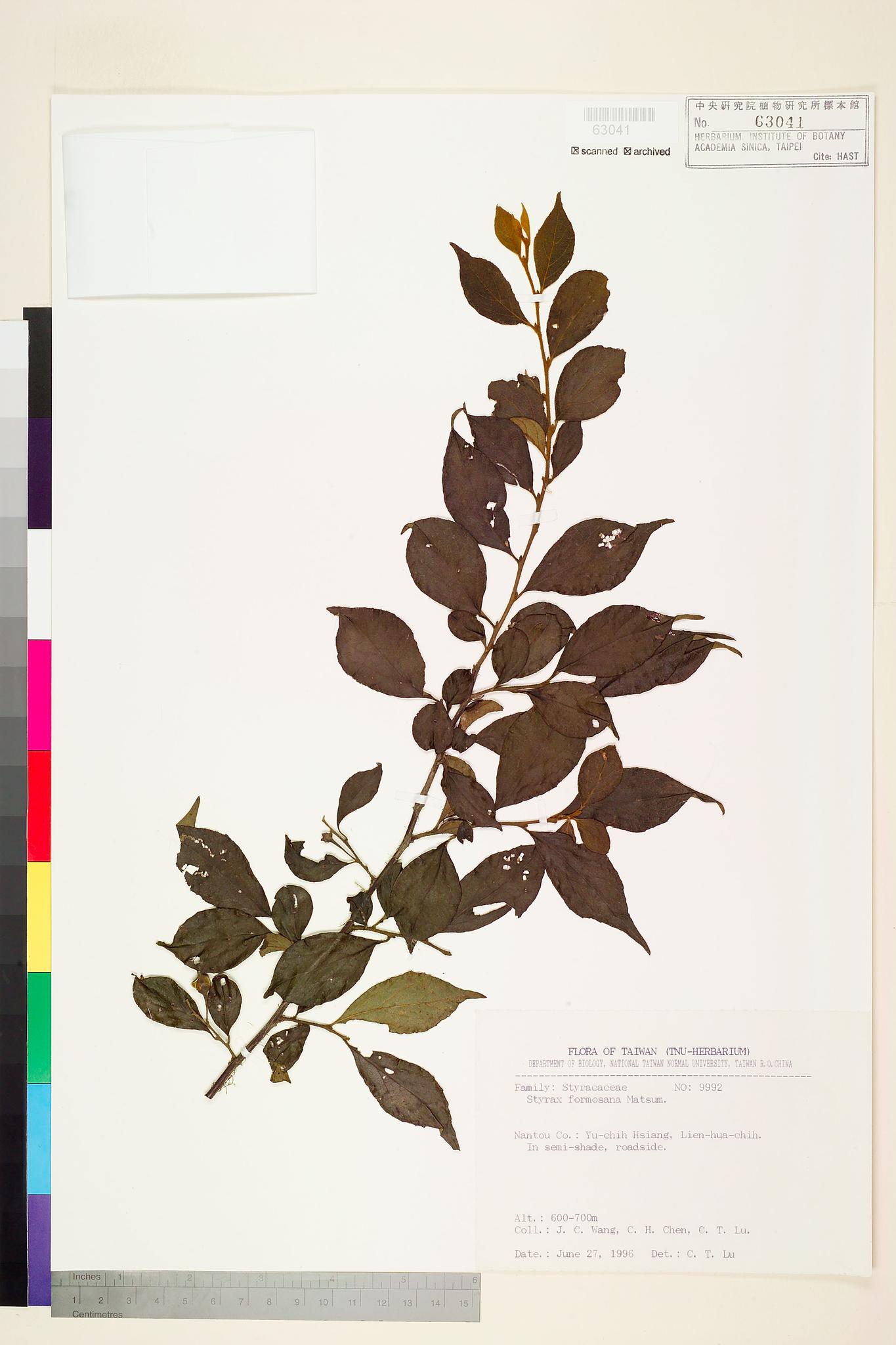 Sample image for viewer