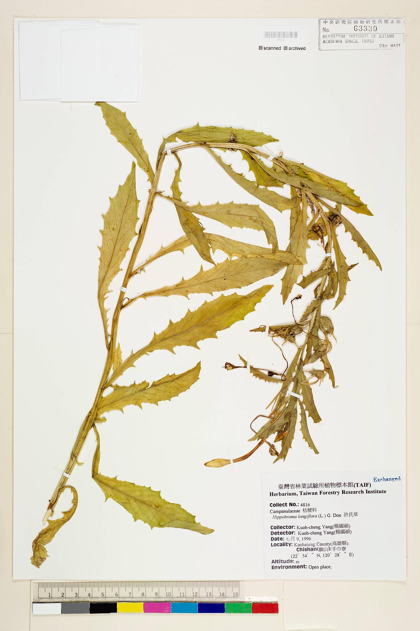 Sample image for viewer