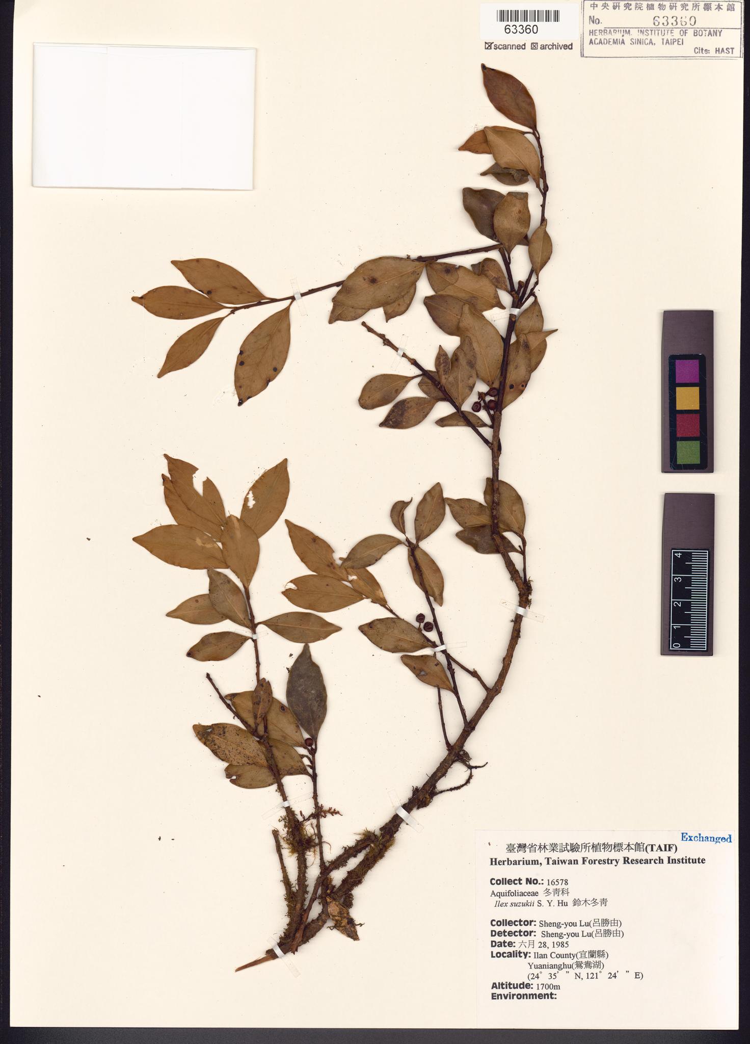 Sample image for viewer