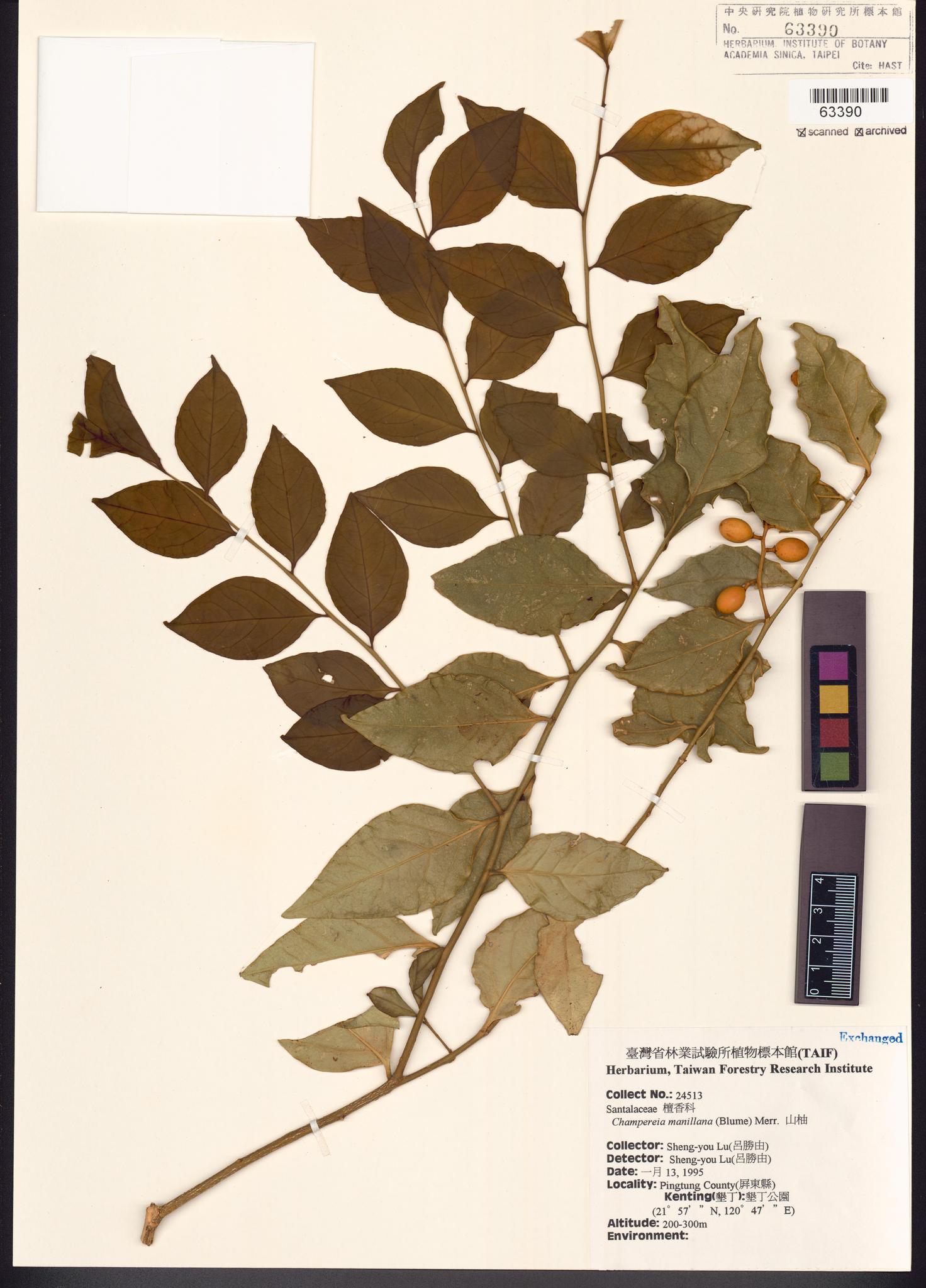 Sample image for viewer