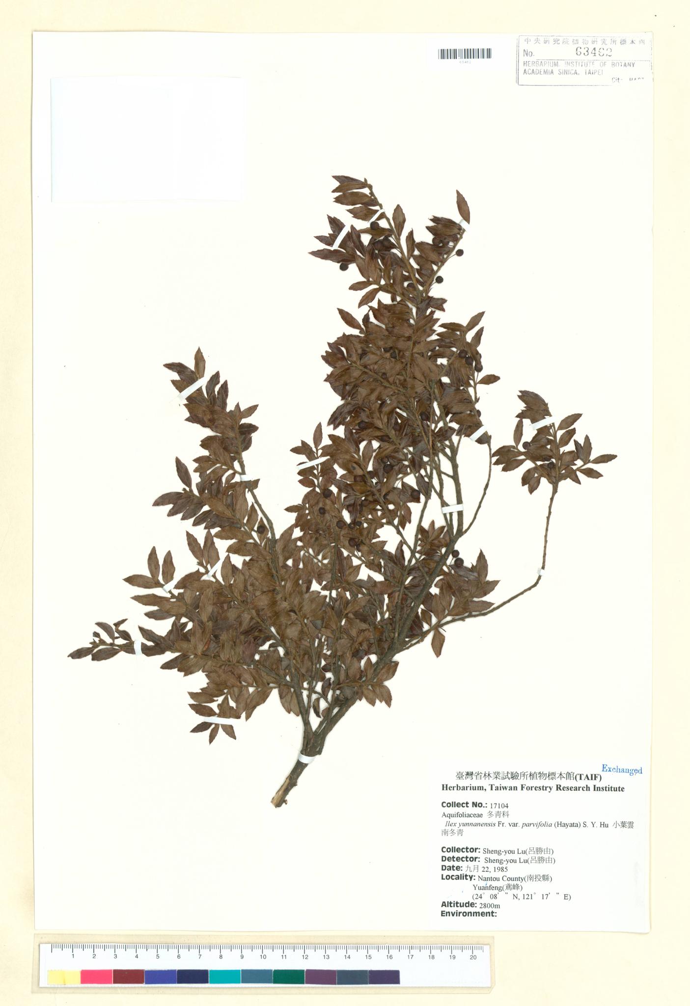 Sample image for viewer