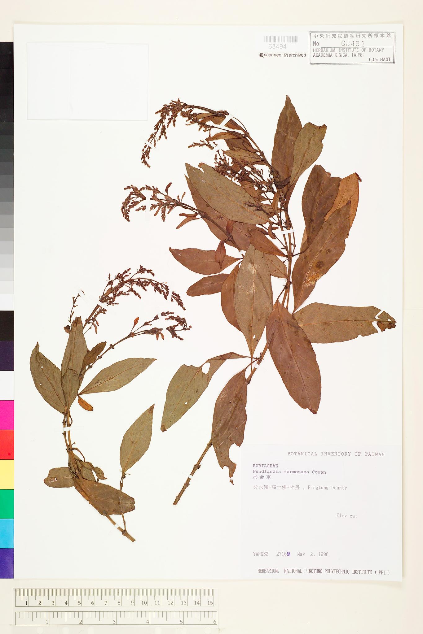 Sample image for viewer