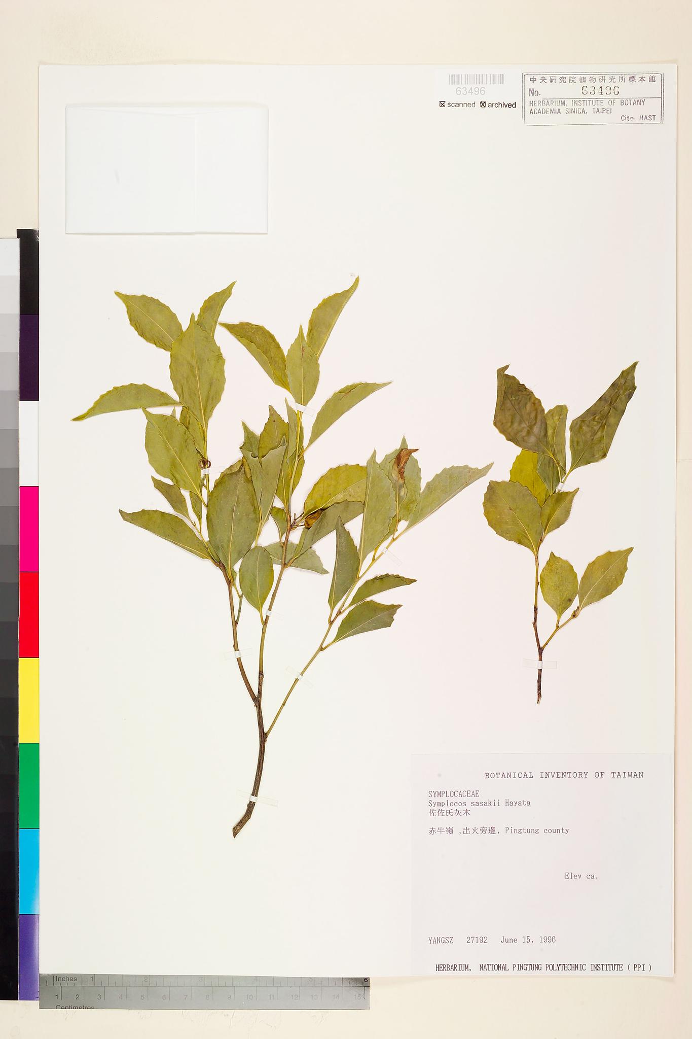 Sample image for viewer