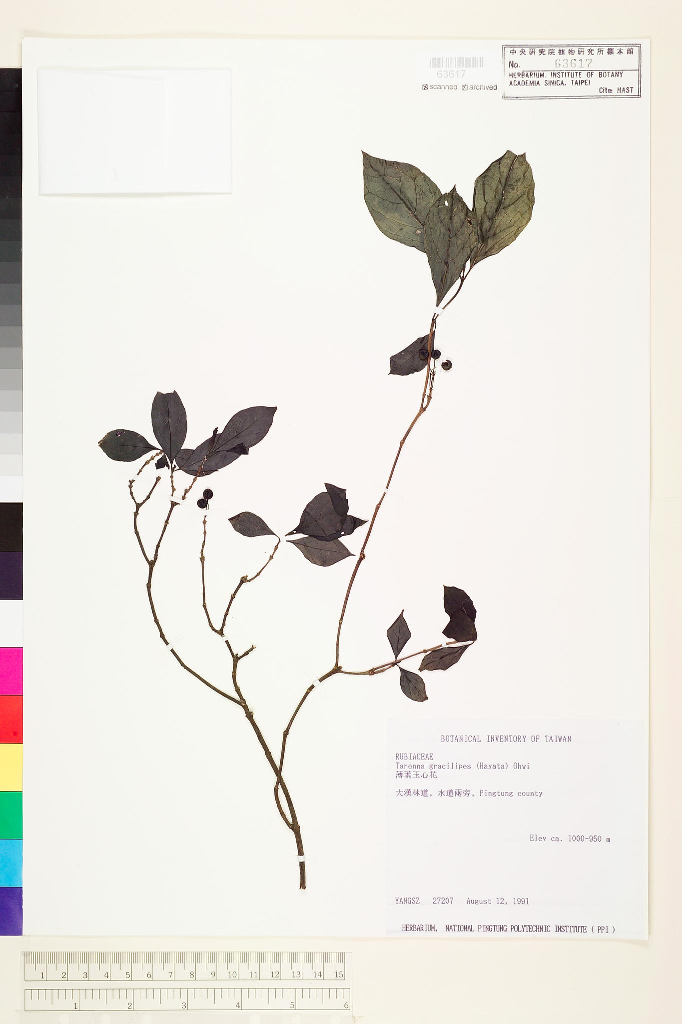 Sample image for viewer