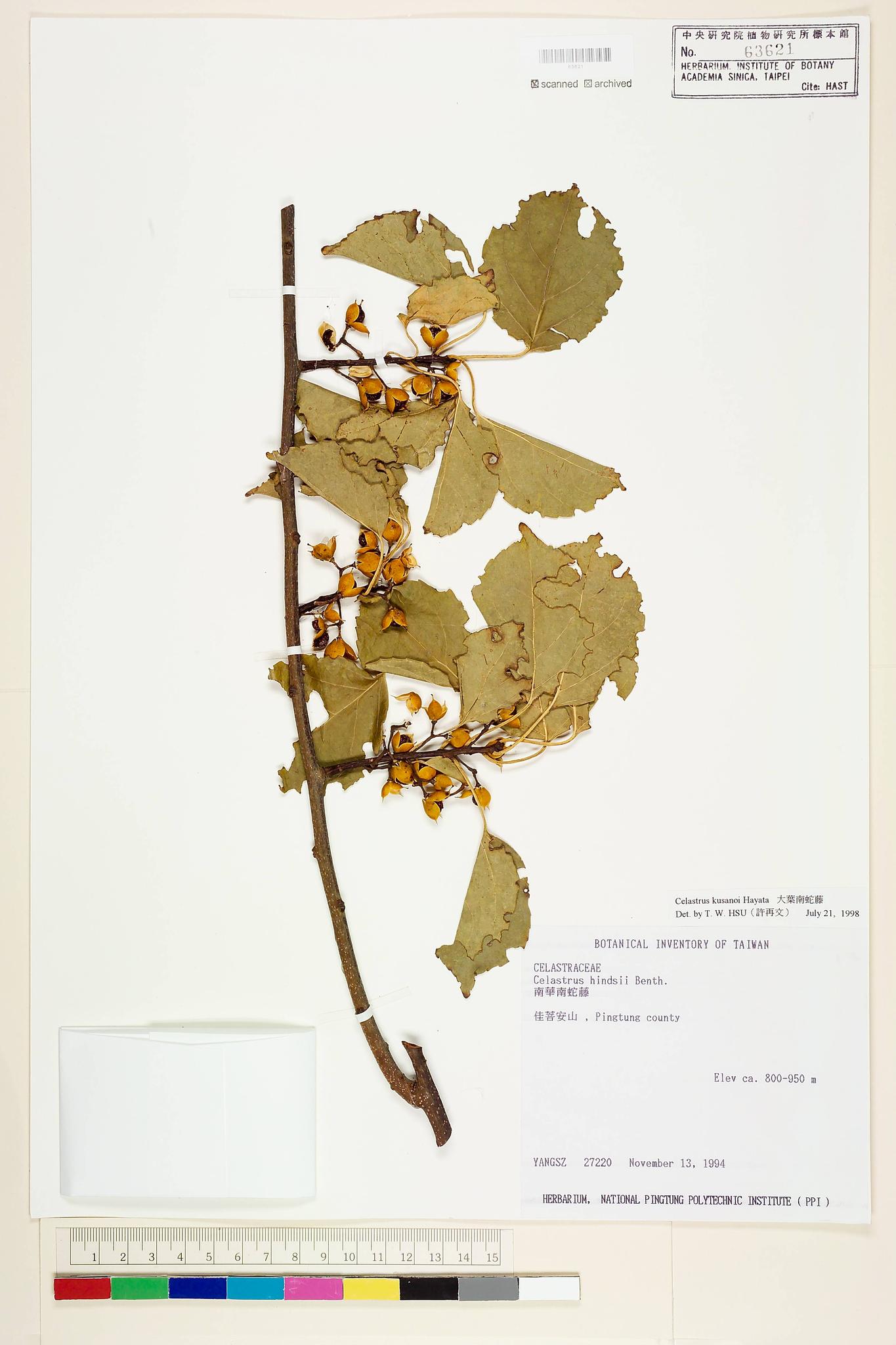 Sample image for viewer