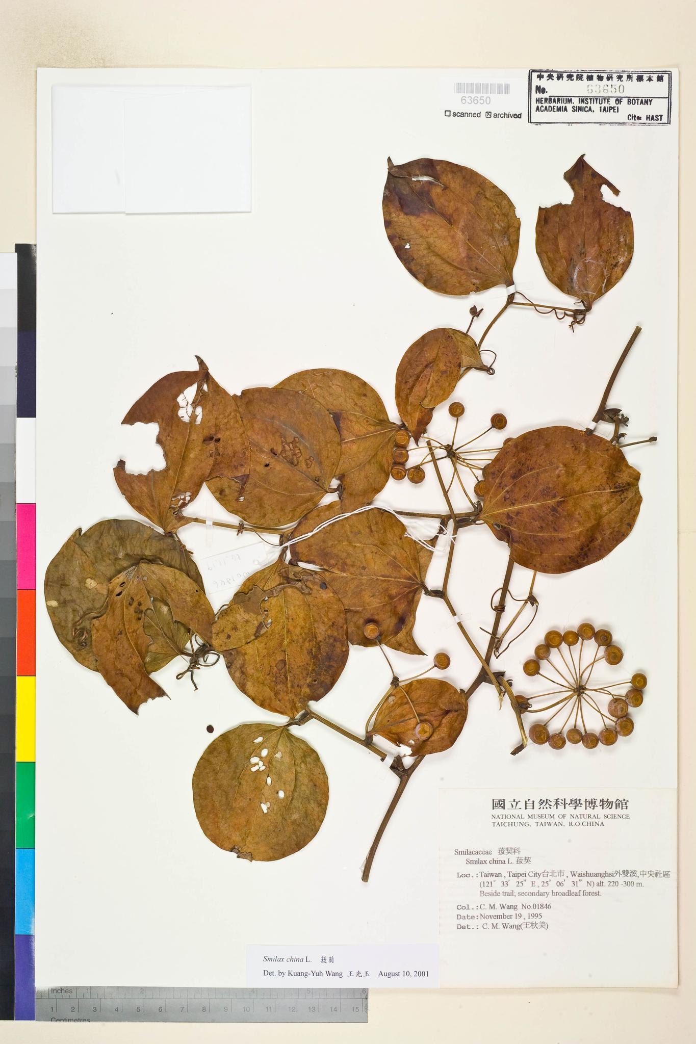 Specimen image