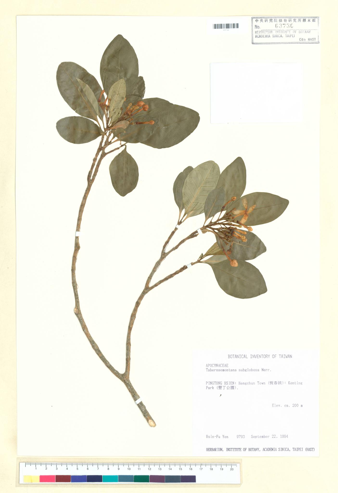 Sample image for viewer