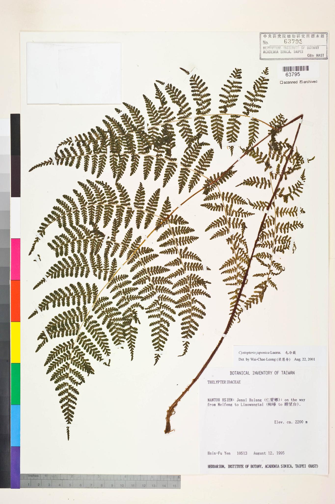 Sample image for viewer