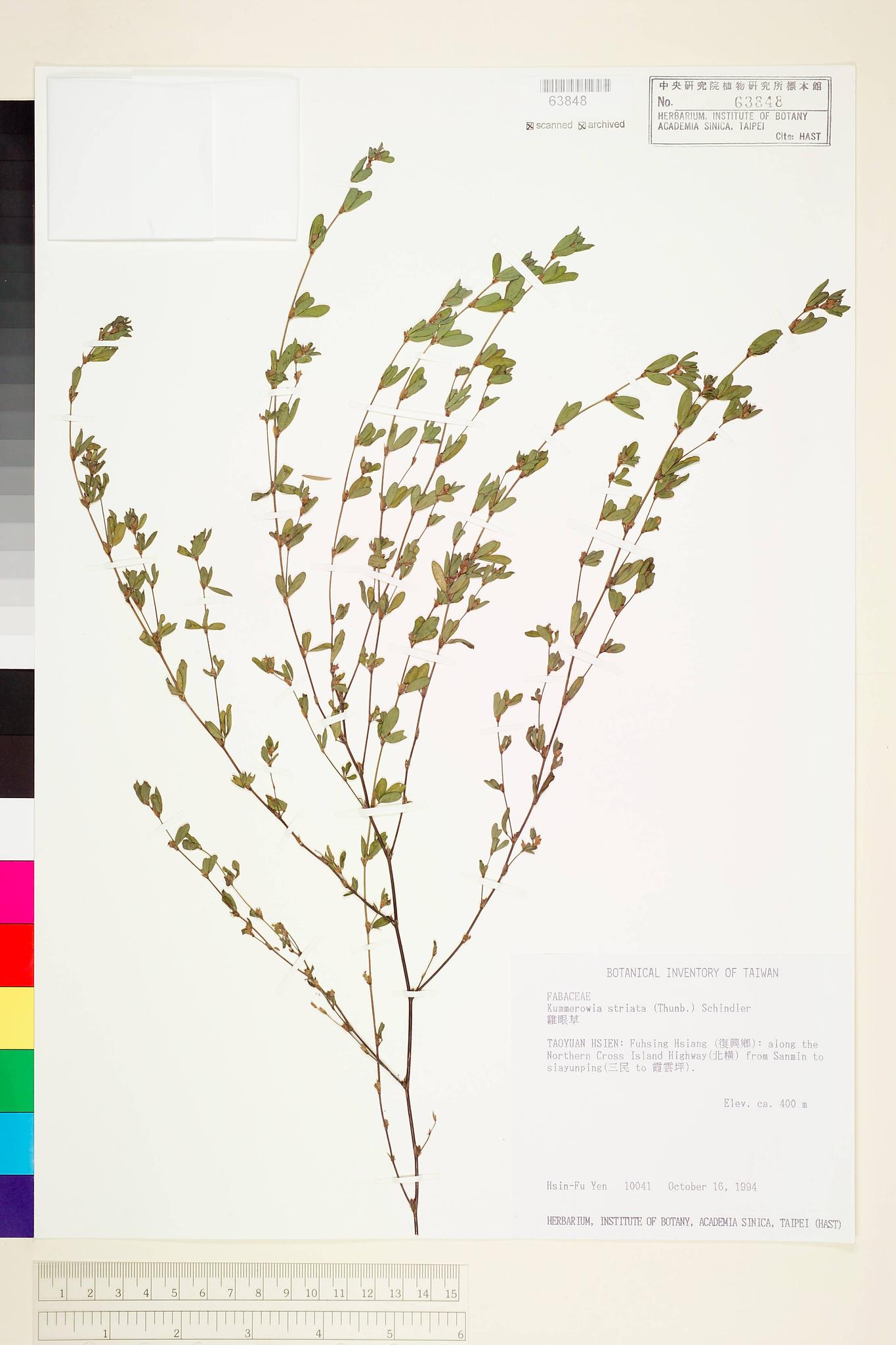 Sample image for viewer