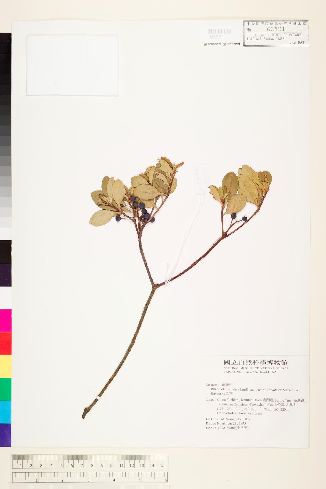 Sample image for viewer