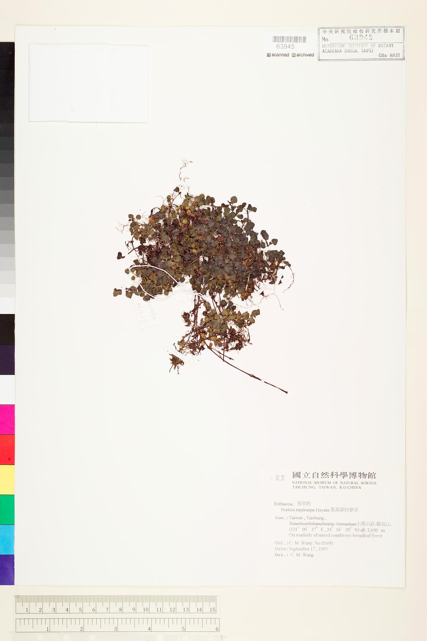 Sample image for viewer