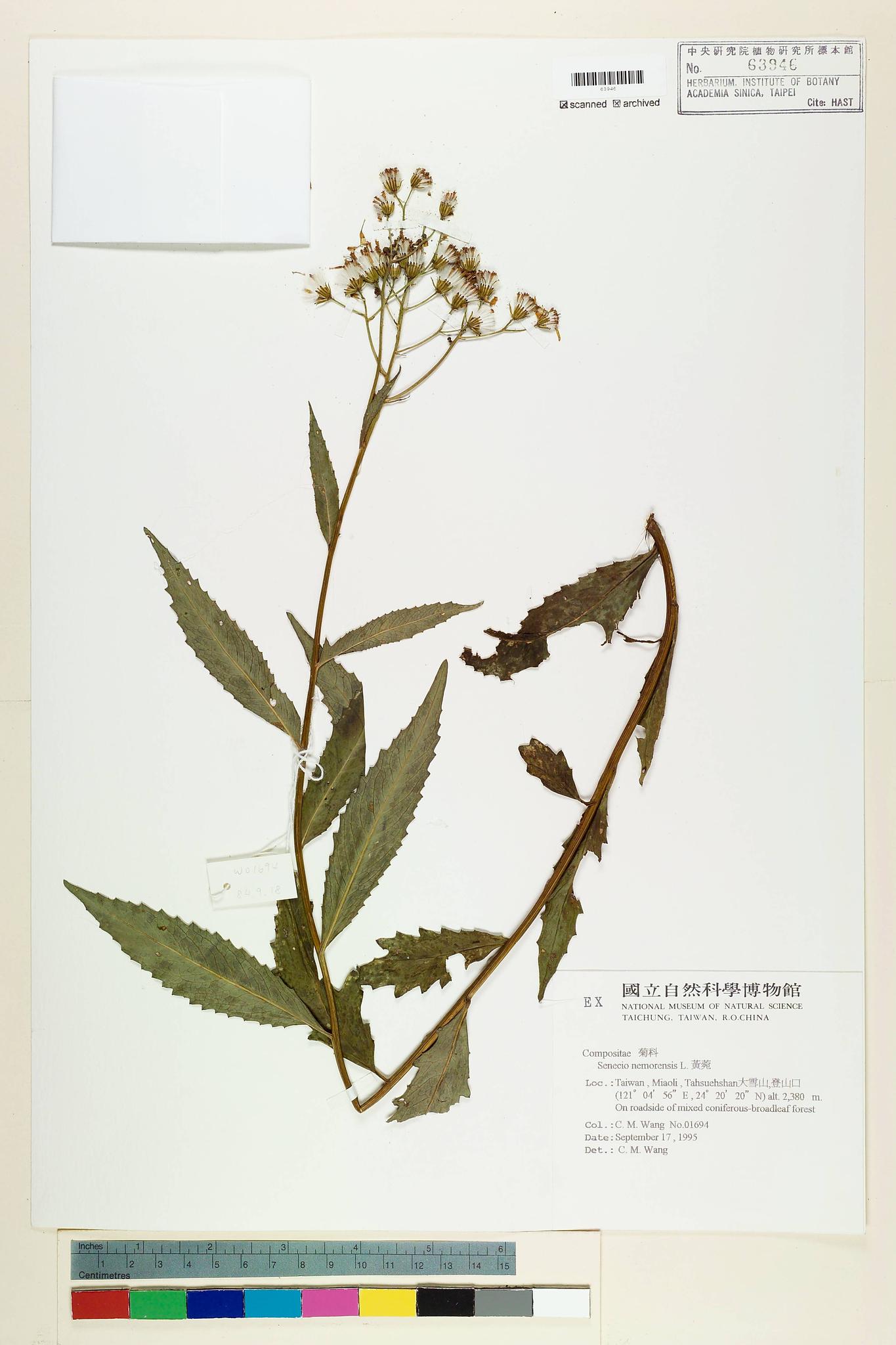 Sample image for viewer