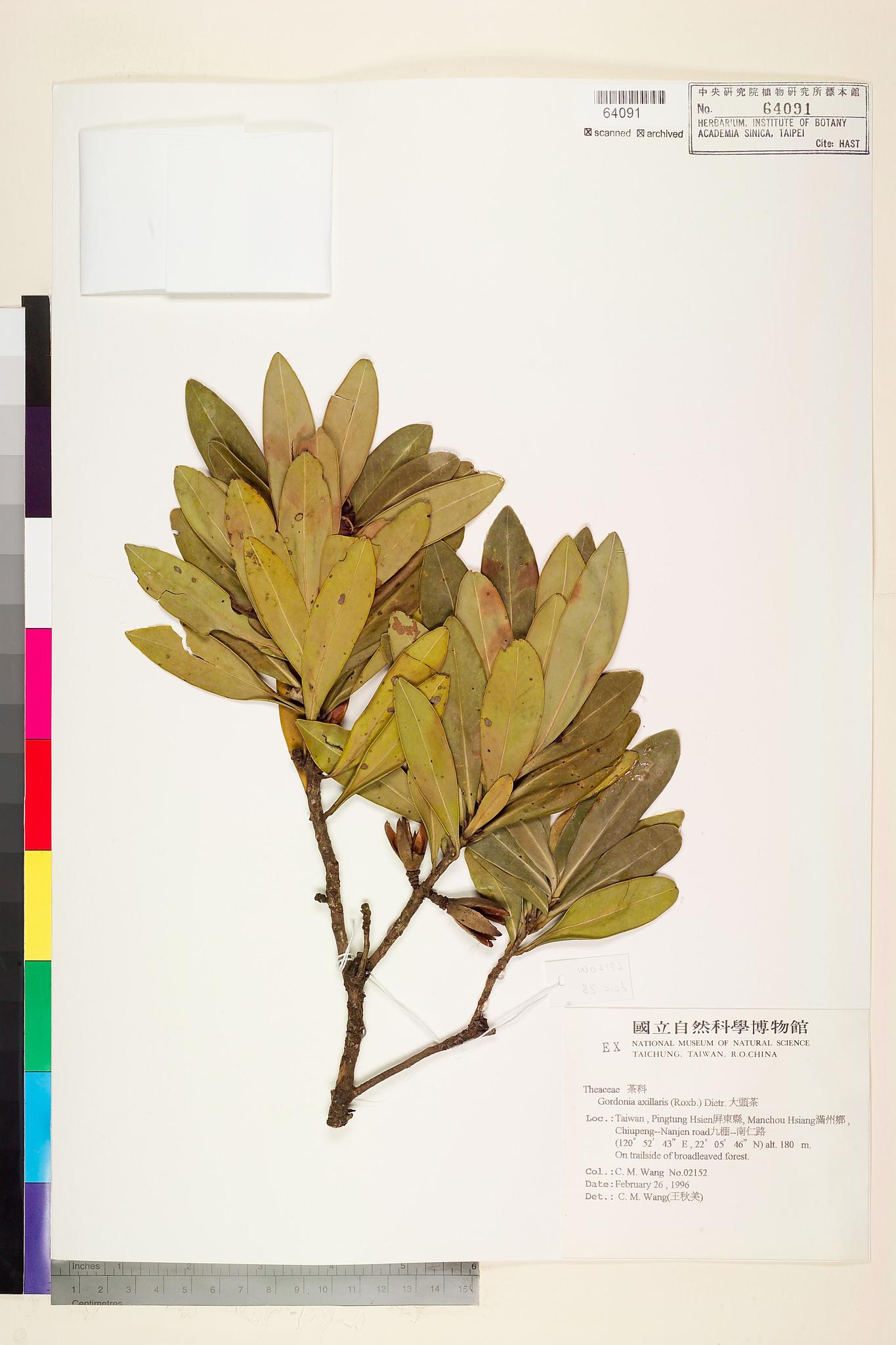 Sample image for viewer