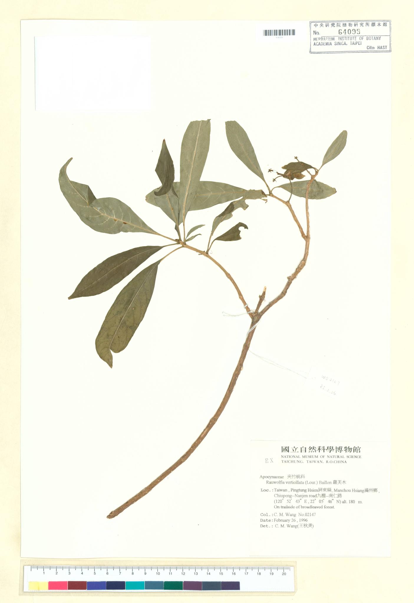 Sample image for viewer