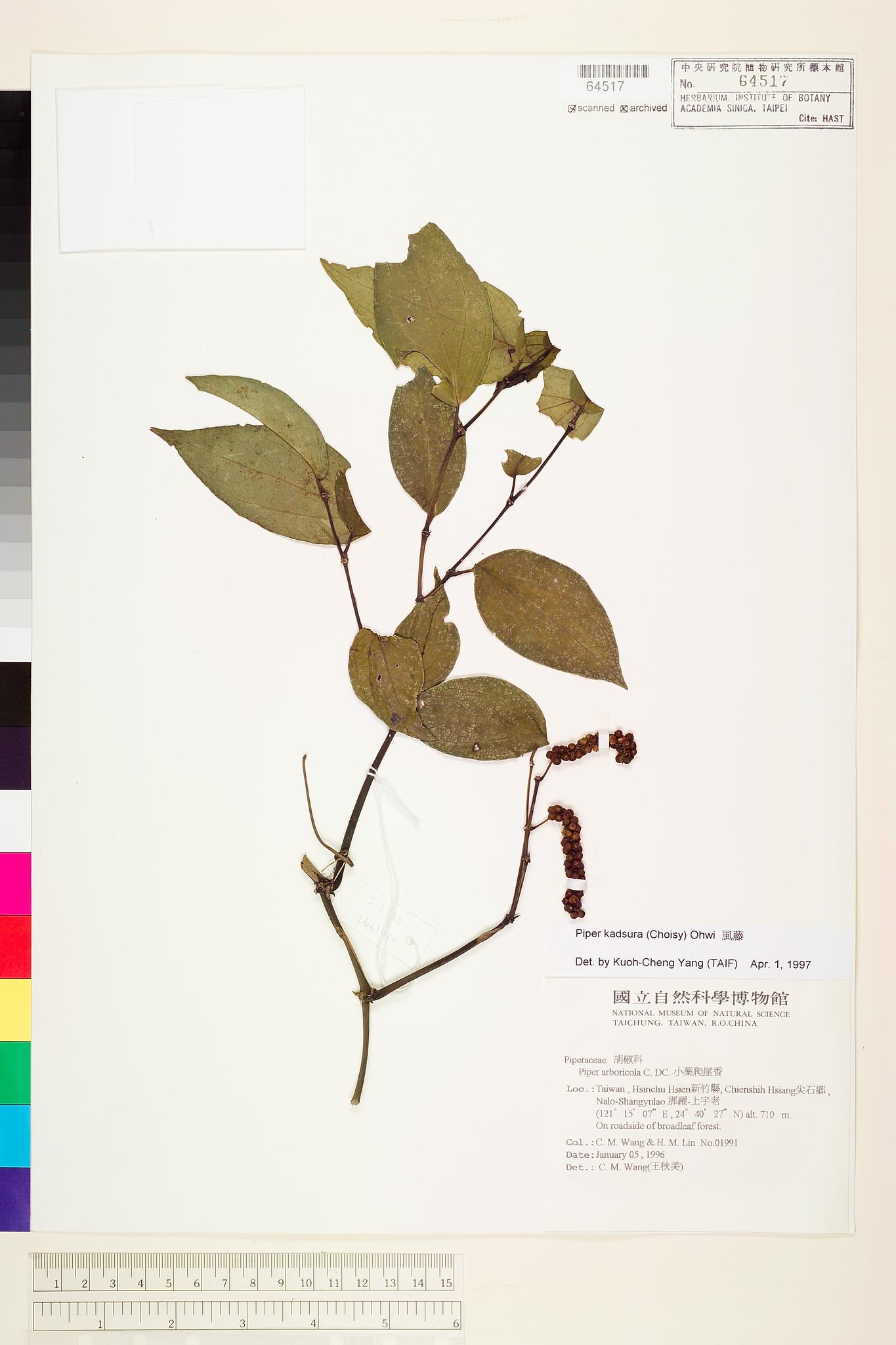 Sample image for viewer