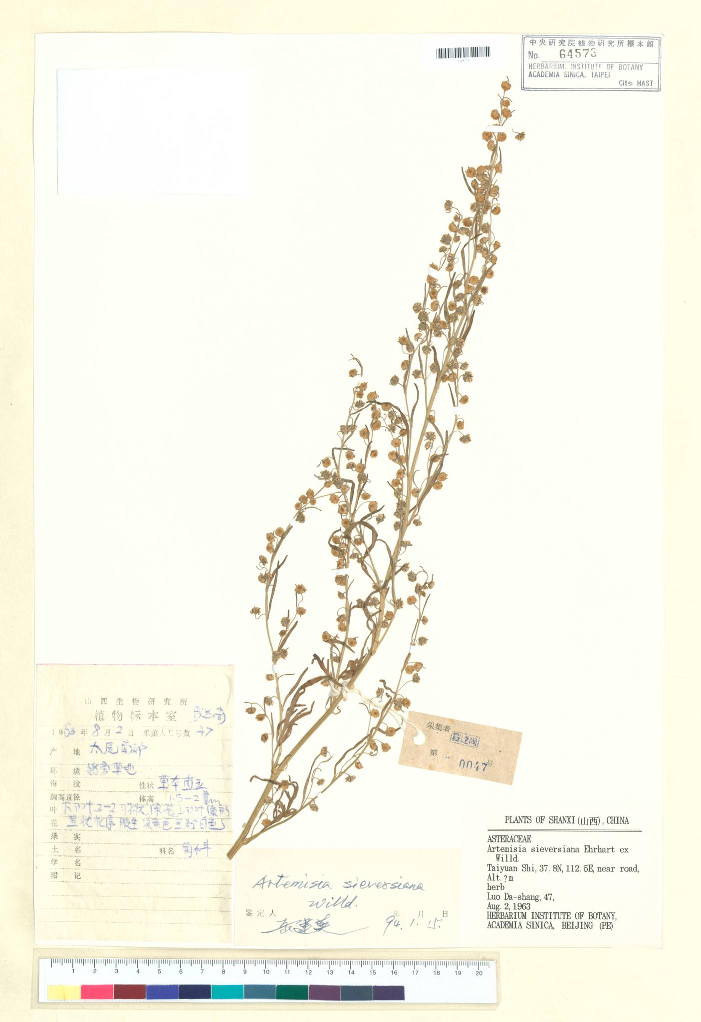 Sample image for viewer