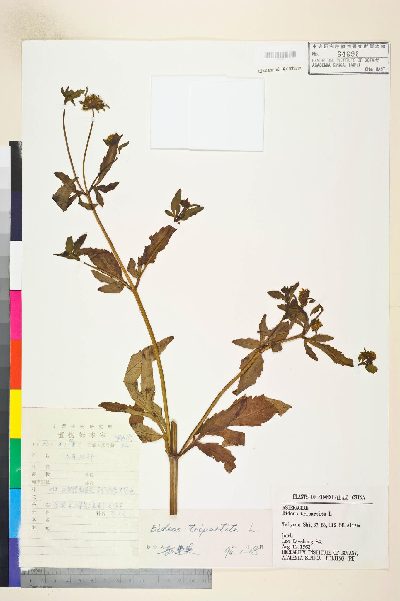 Specimen image