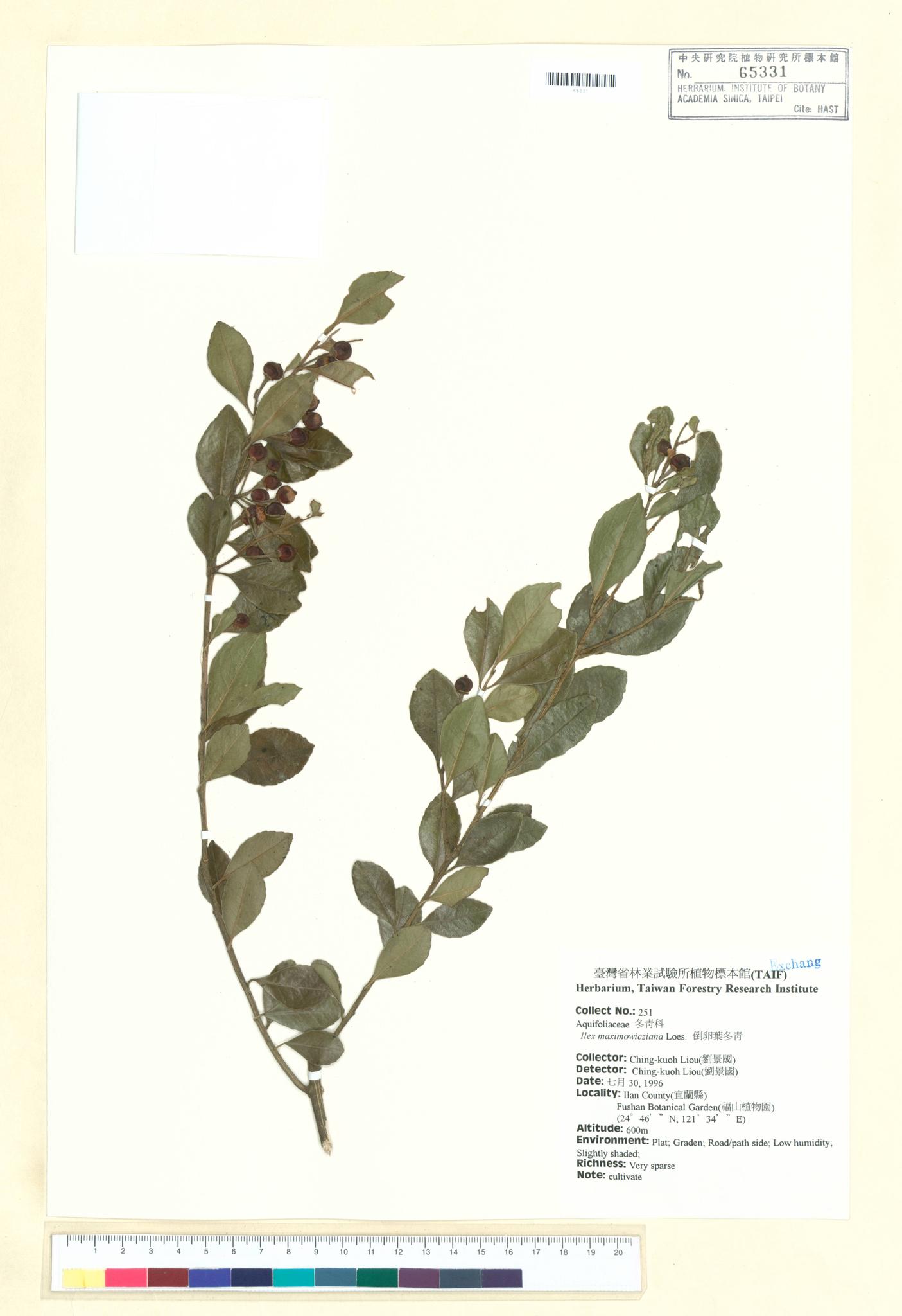 Sample image for viewer