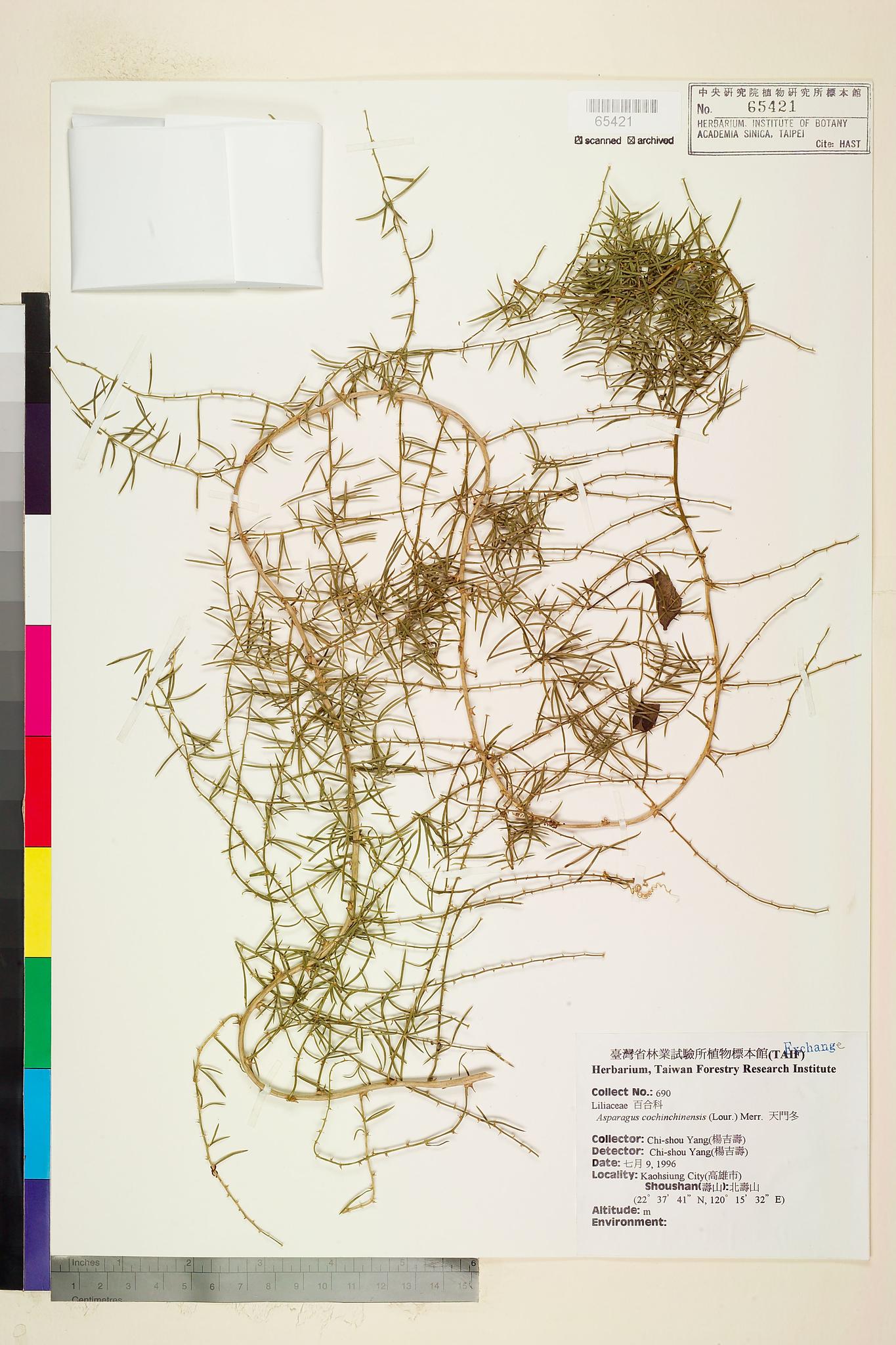 Sample image for viewer