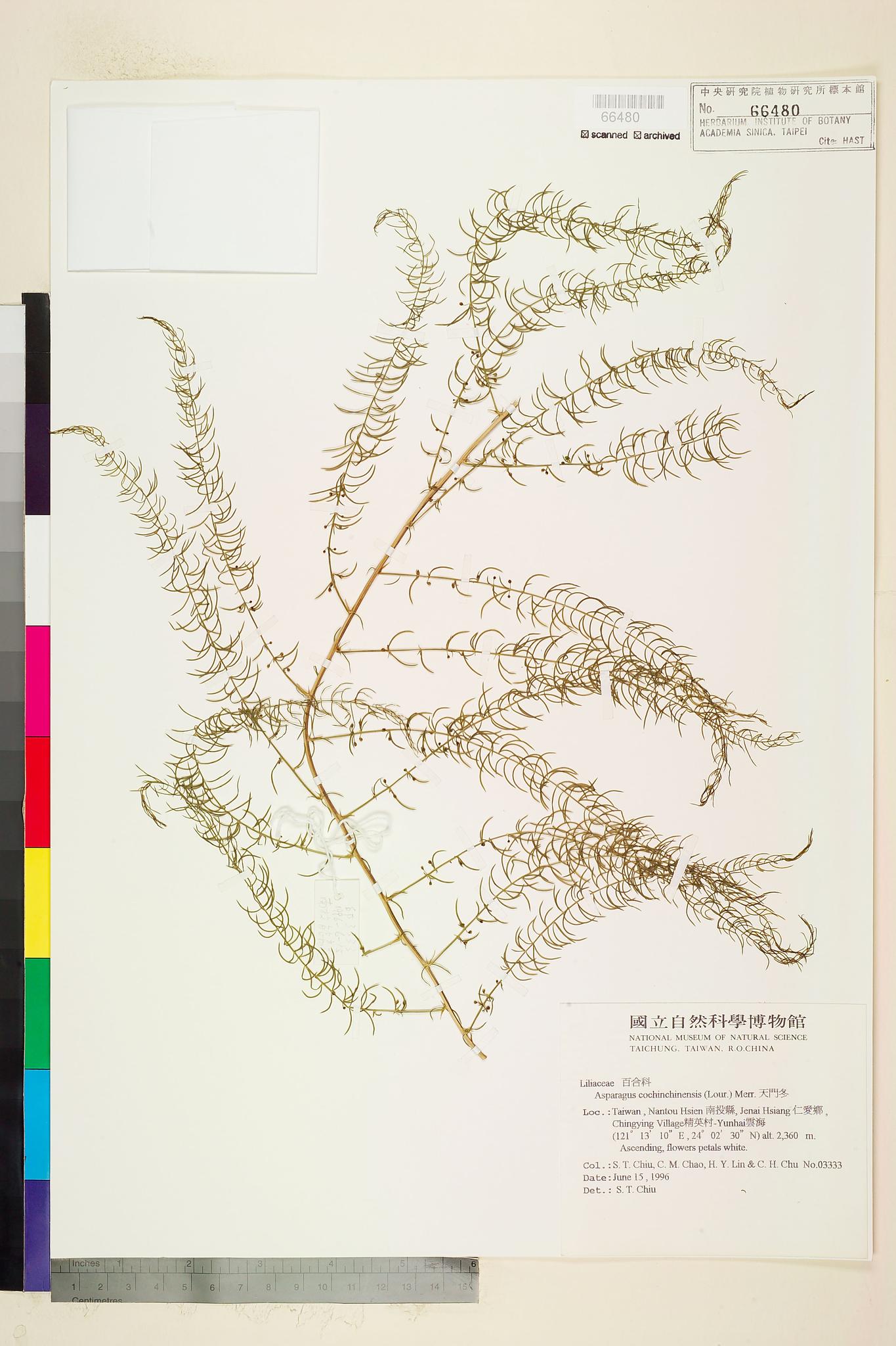 Sample image for viewer